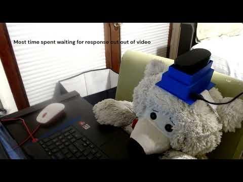 "Real World" Example of AI Powered Hat
