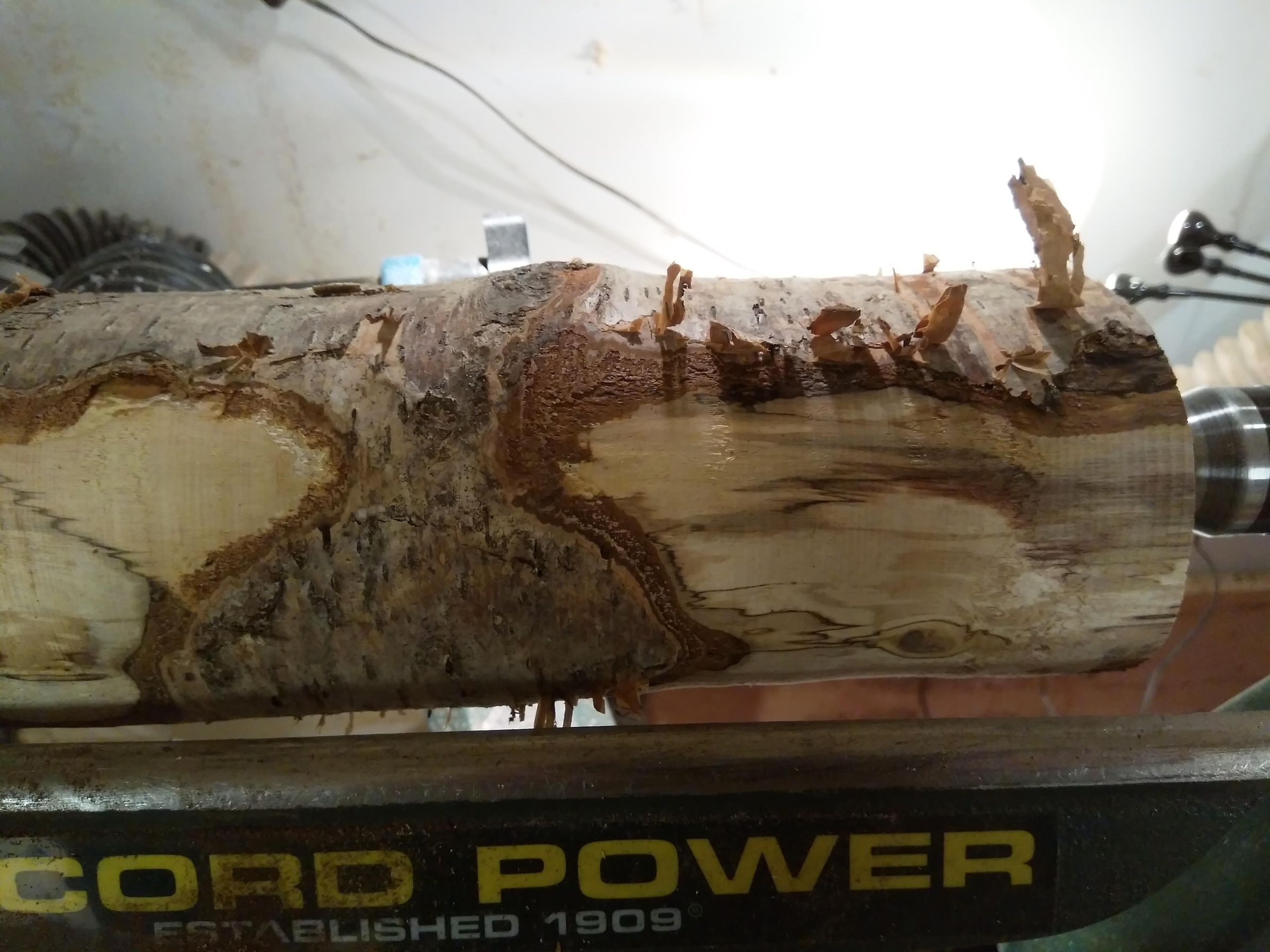 00 WOOD IMG_20191206_180325.jpg