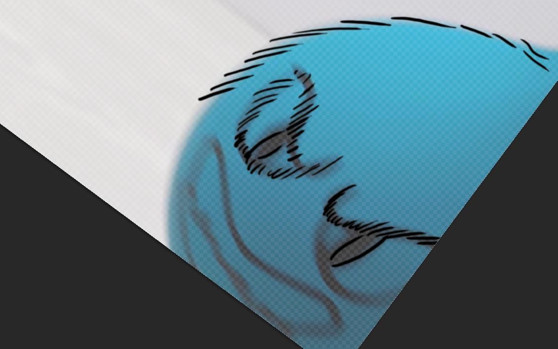 00003.jpg