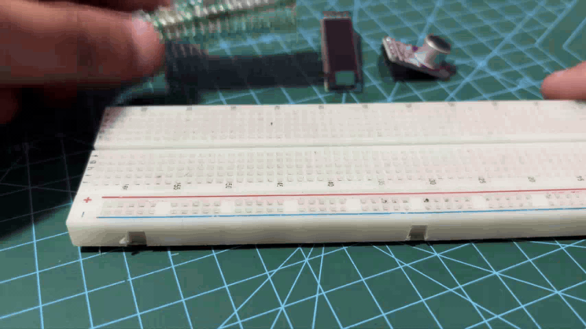 02.gif
