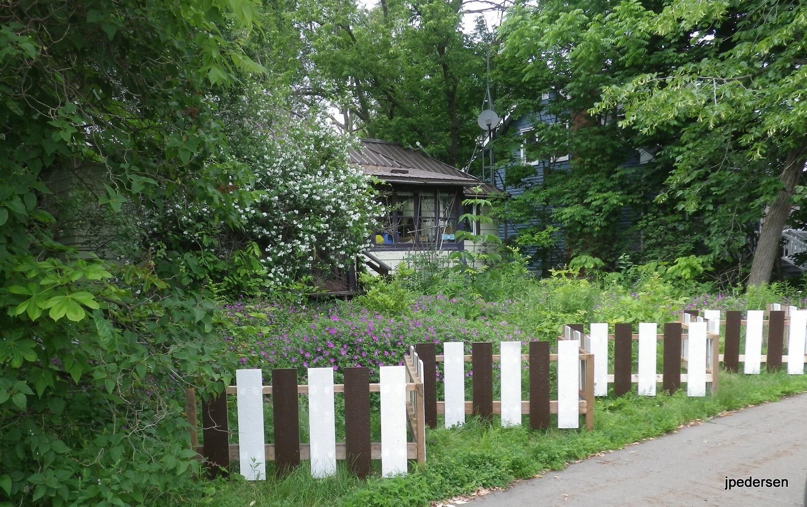 07-IMGP2867.JPG