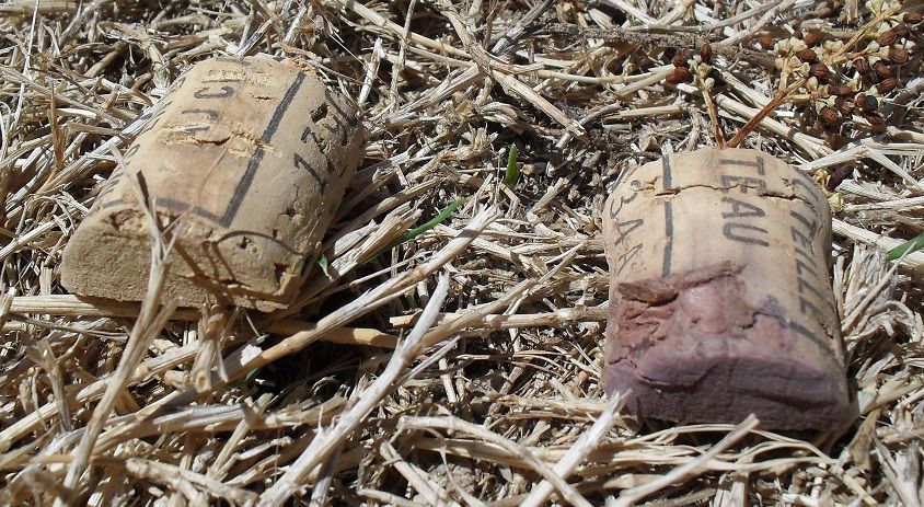 09 Cork Pieces.jpg