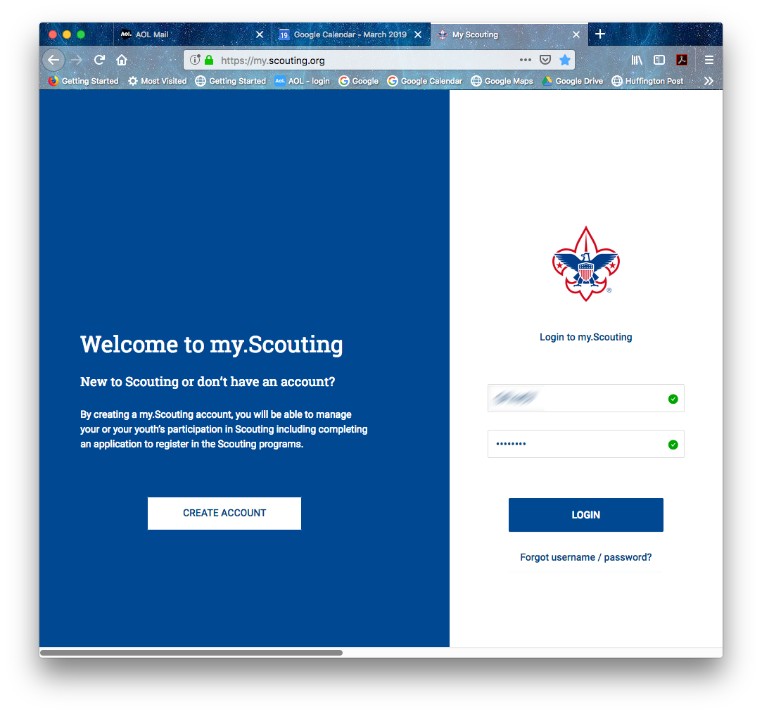 1 MyScoutingOrg.png
