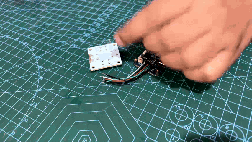 10.gif
