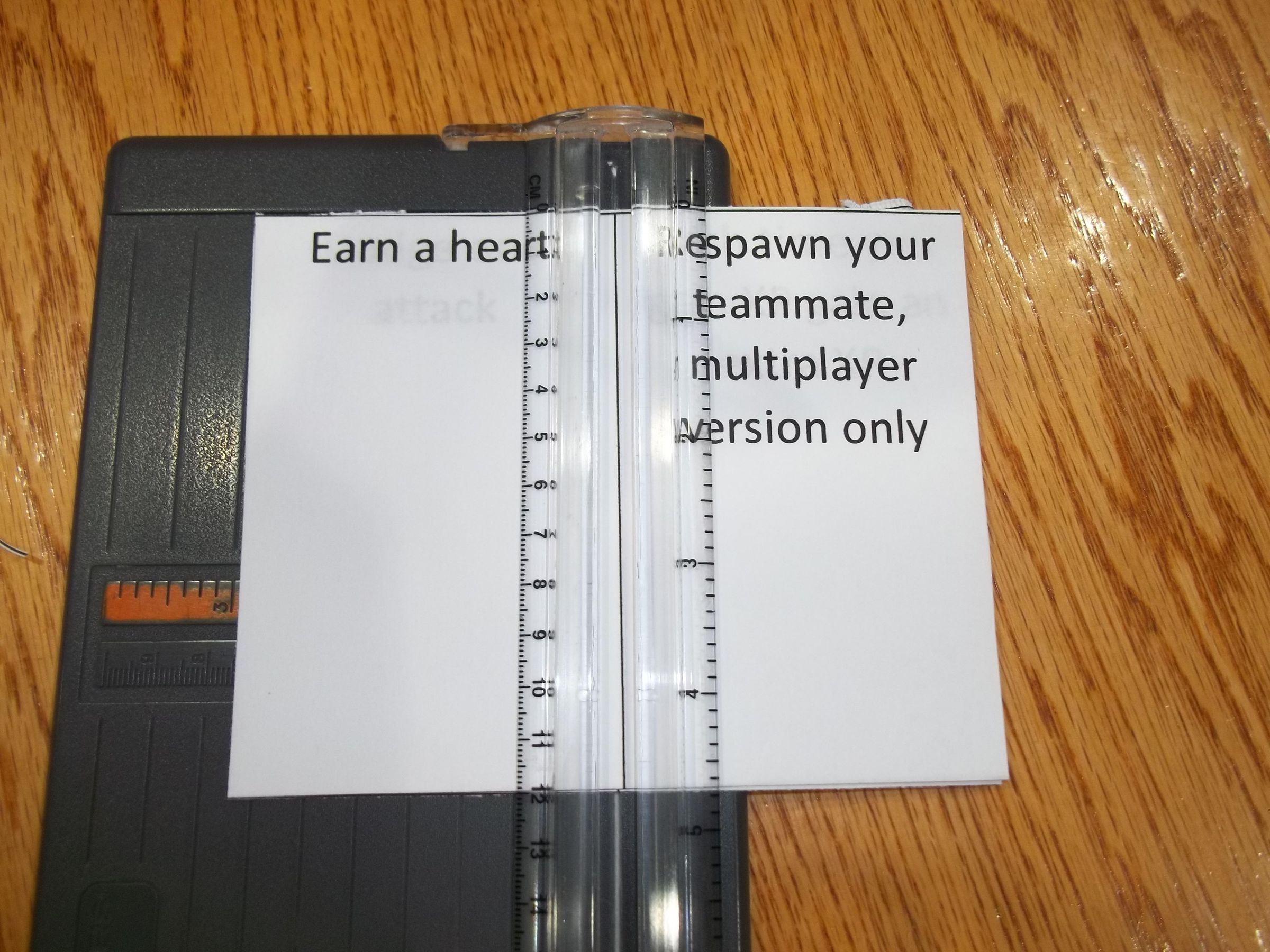 100_7013.JPG