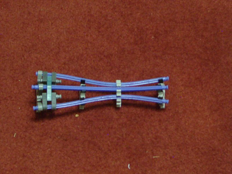 10130040.JPG