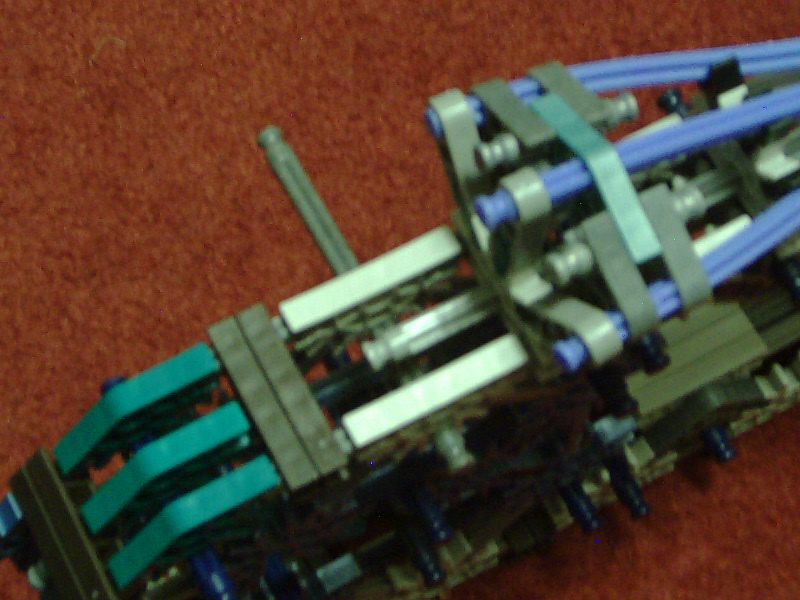10130042.JPG