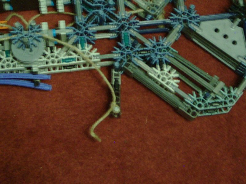 10150019.JPG