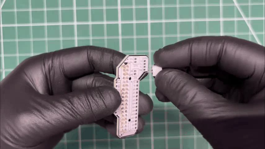 13.gif