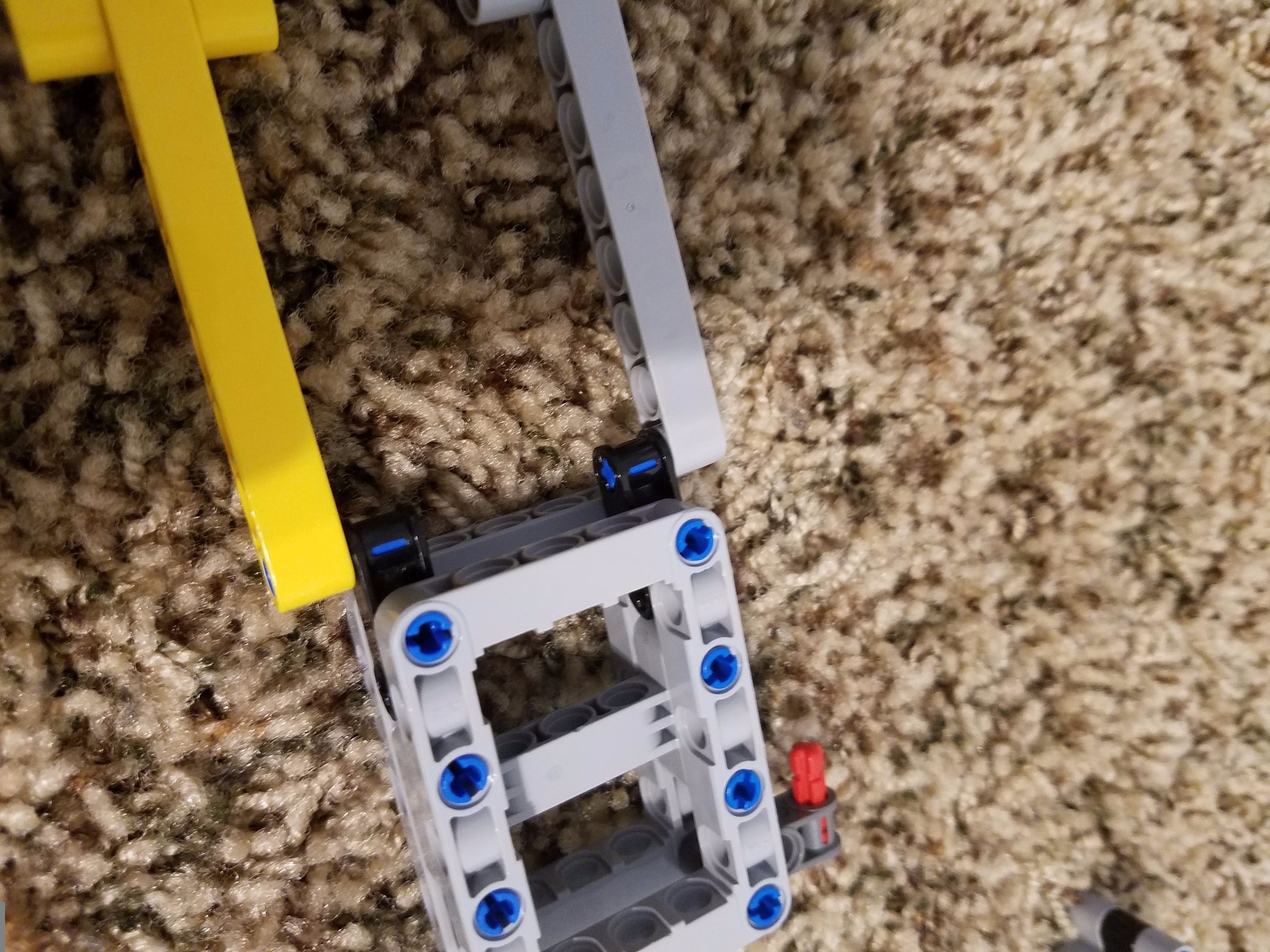 1497632021029628237100.jpg