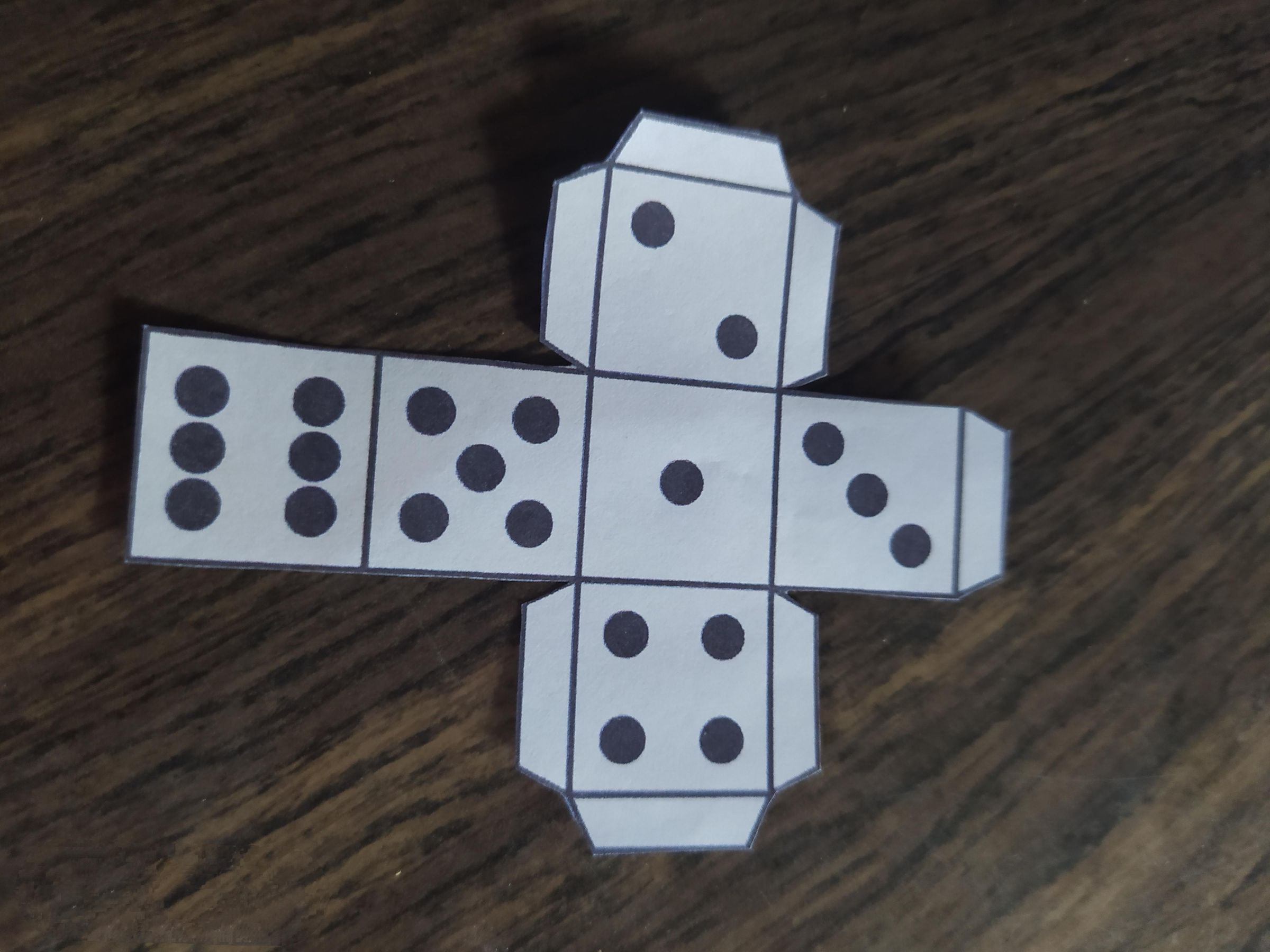 1624552232550.jpg