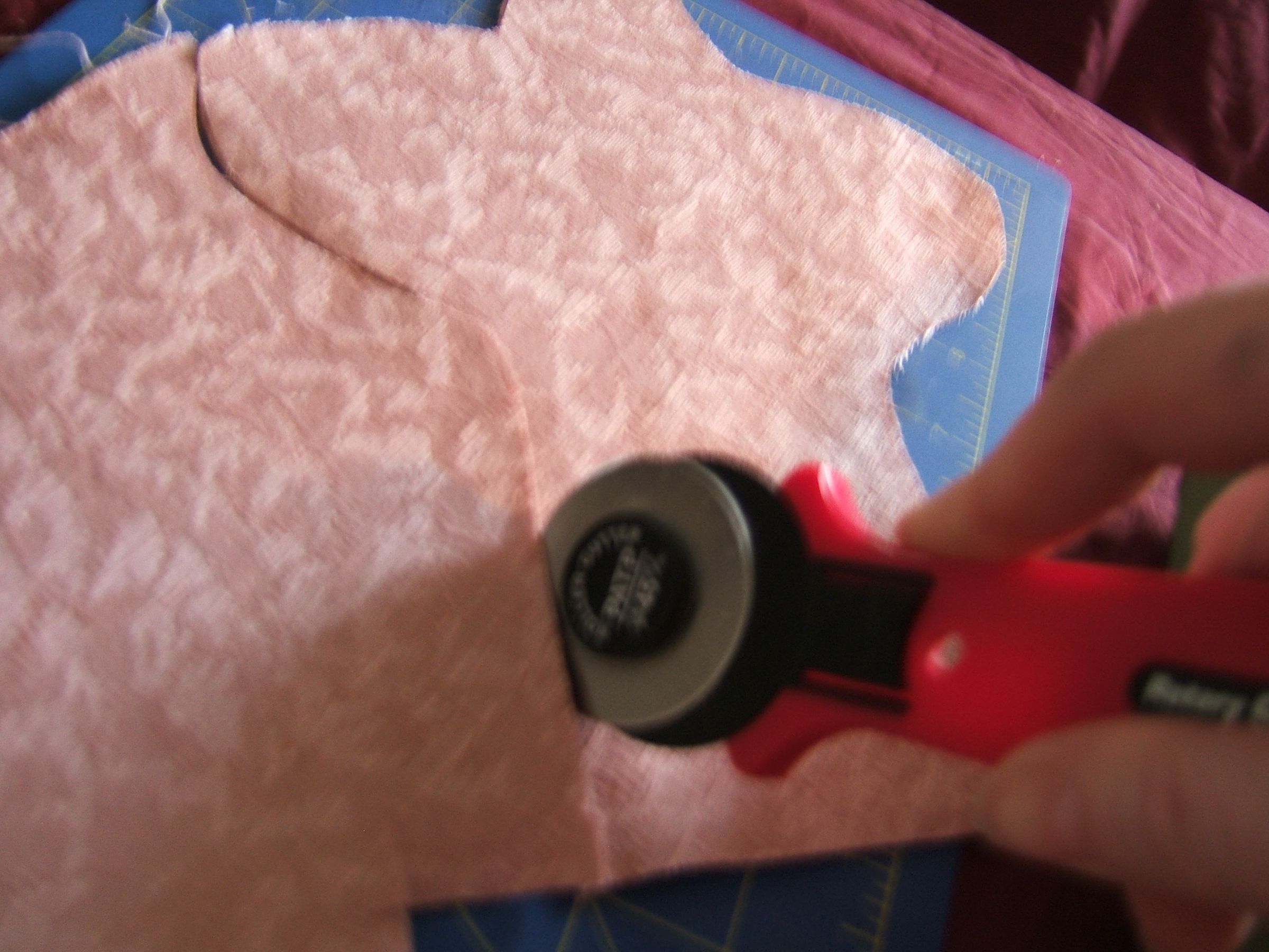 2009_0906princesshat0004.JPG