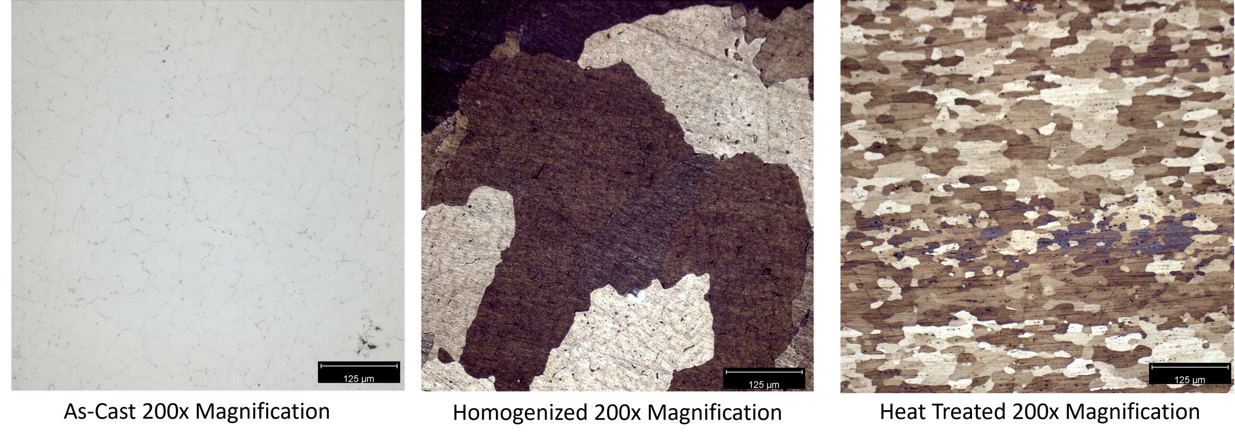 200x Magnification Micrographs.png
