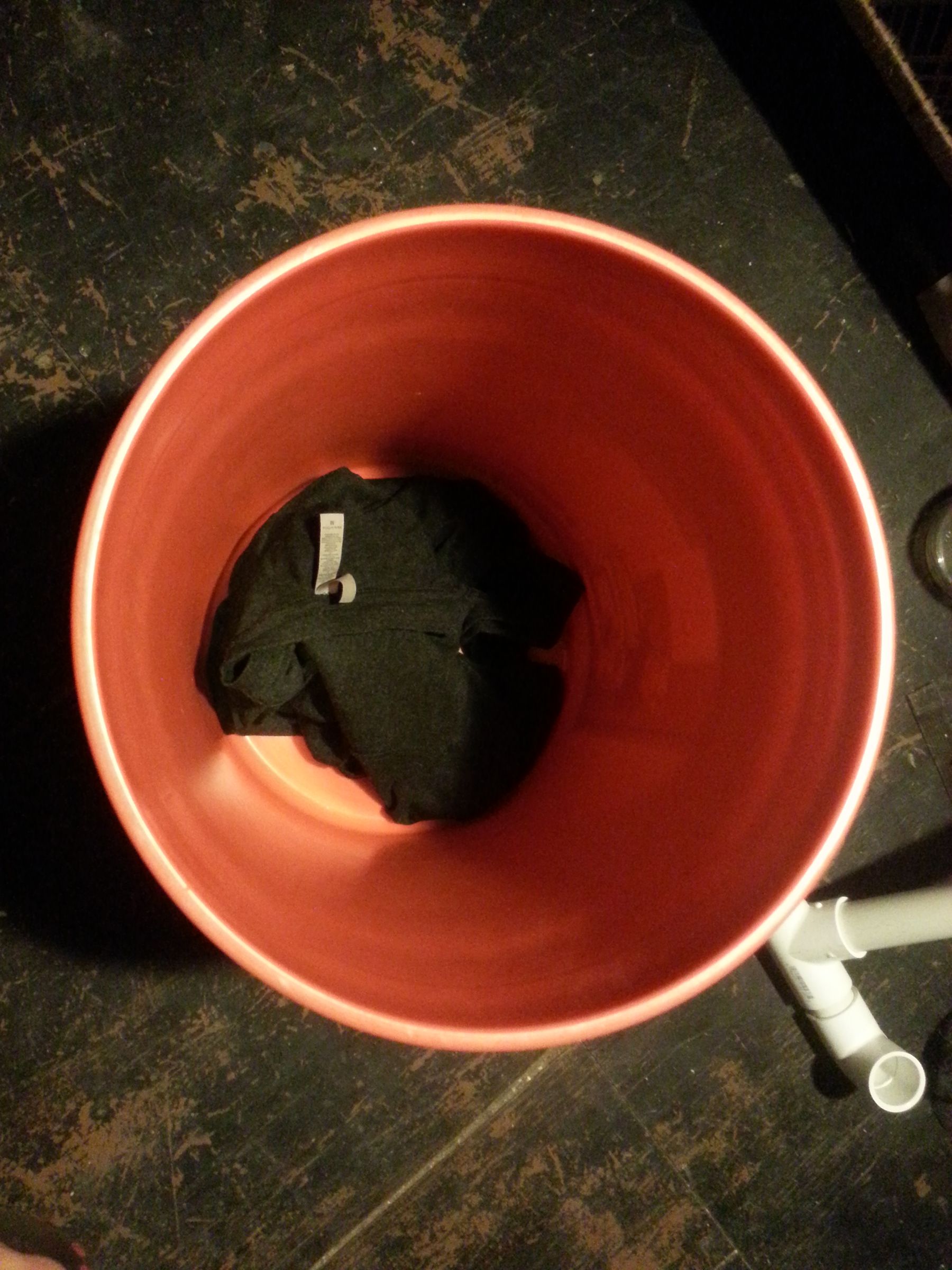 20130306_053609.jpg