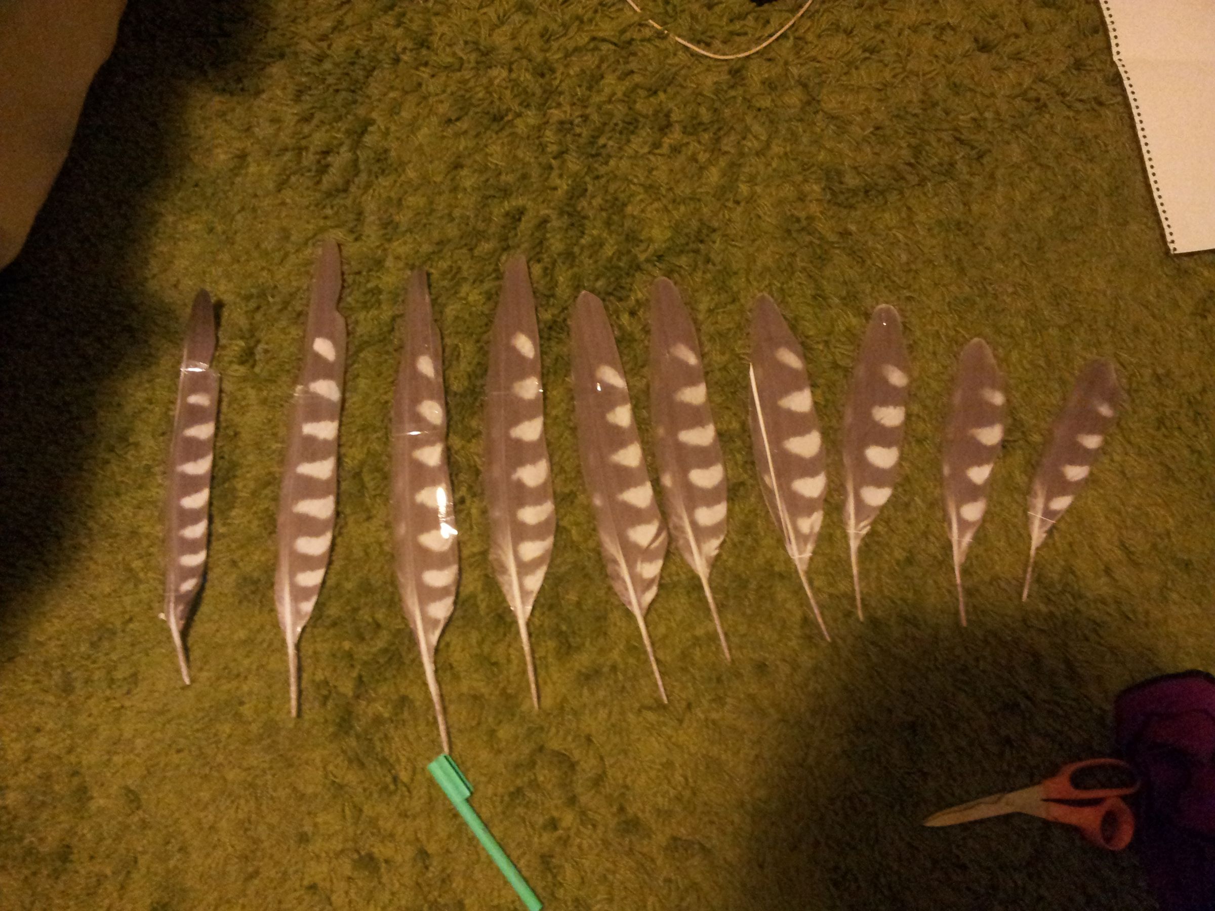 20130622_203432.jpg