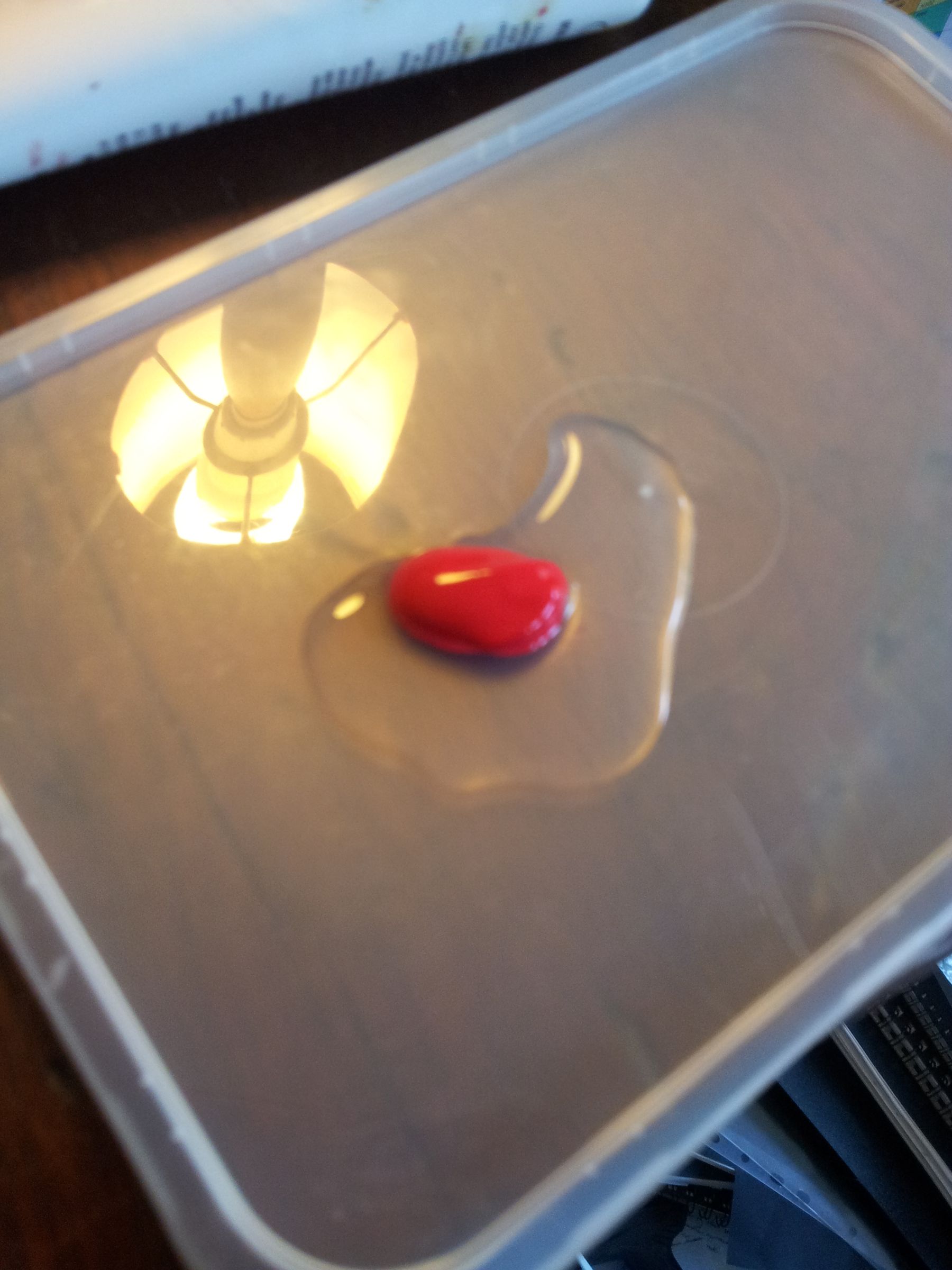 20131224_094654.jpg