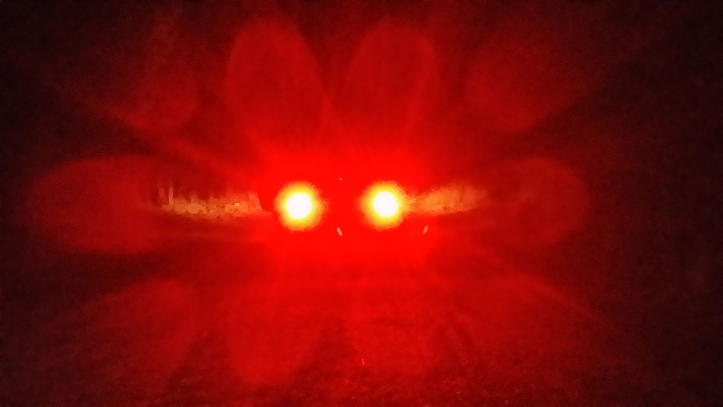 20140425_222204.jpg