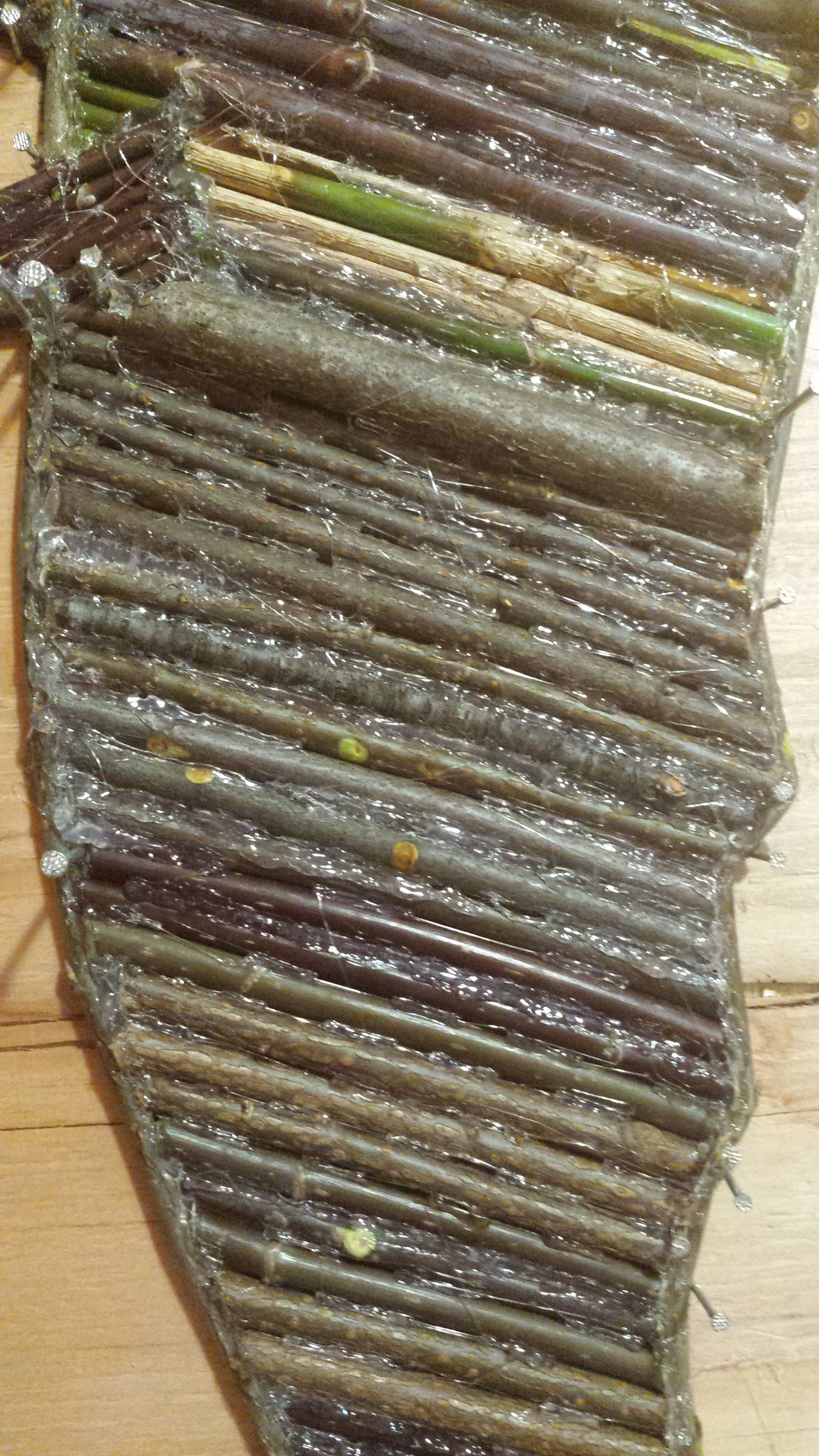 20141208_034010.jpg