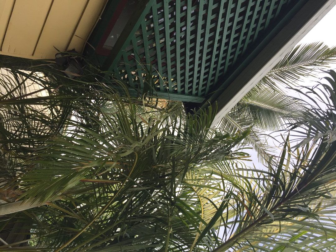 20150612_045545047_iOS.jpg