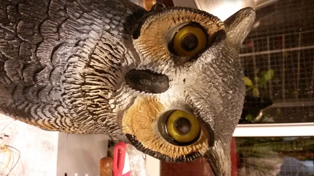 20151019_195028.jpg