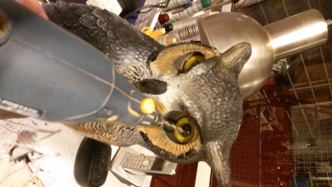 20151019_195156.jpg