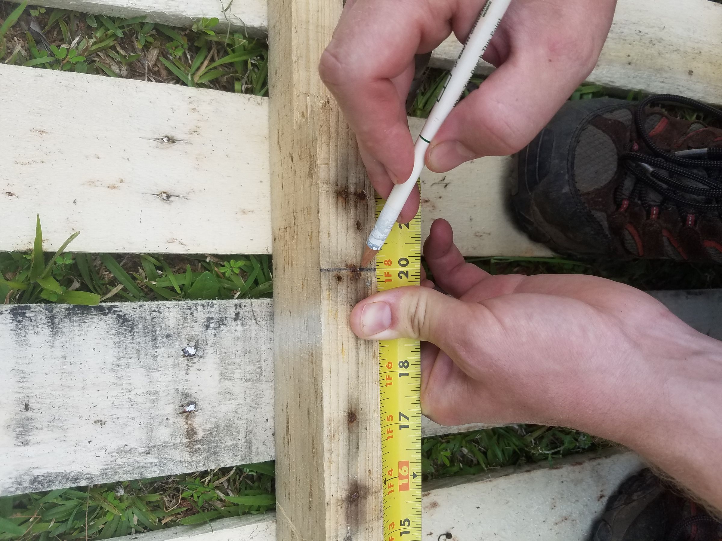 20160604_145844 Measuring - Nail.jpg