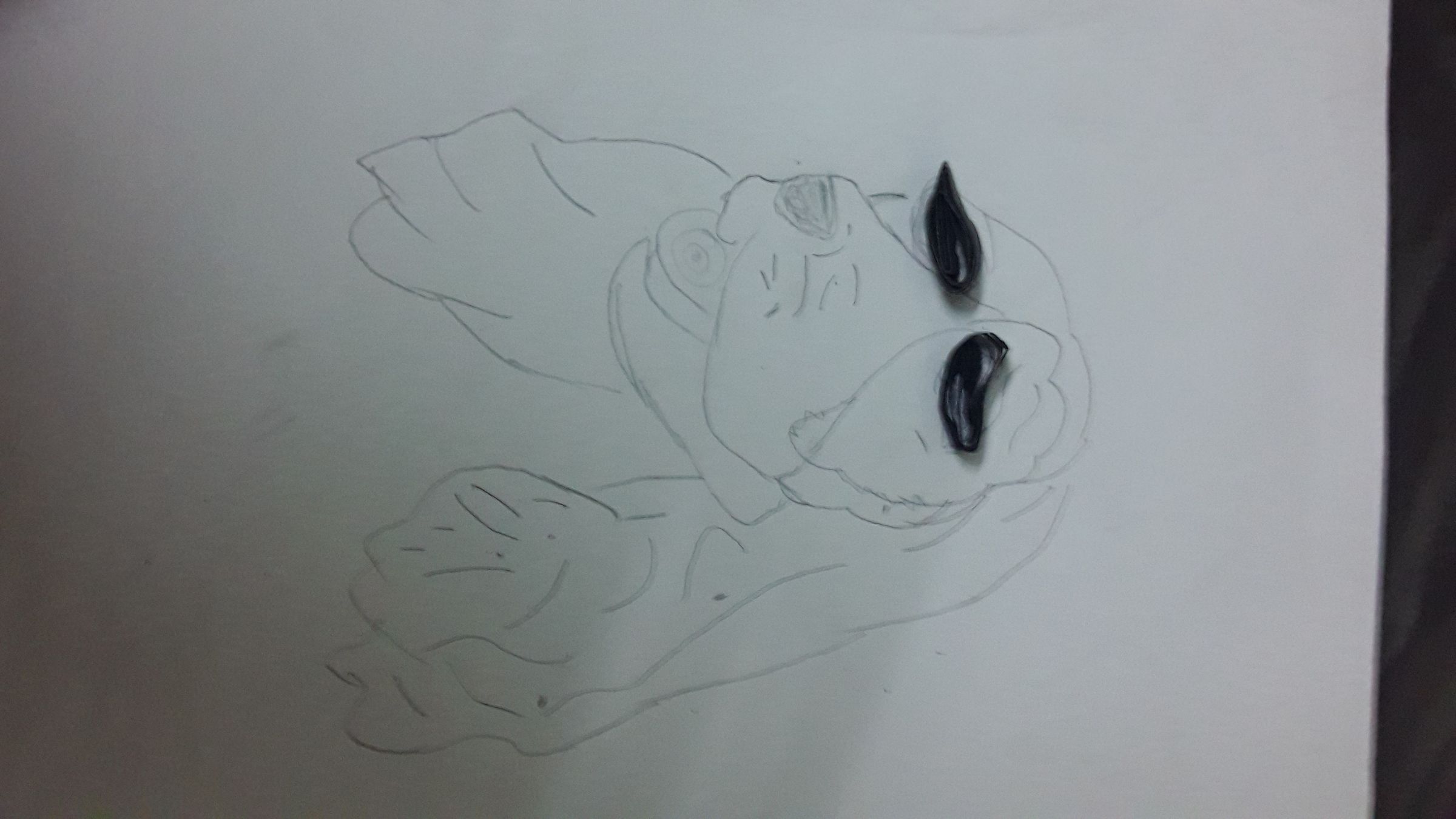 20160614_111132.jpg