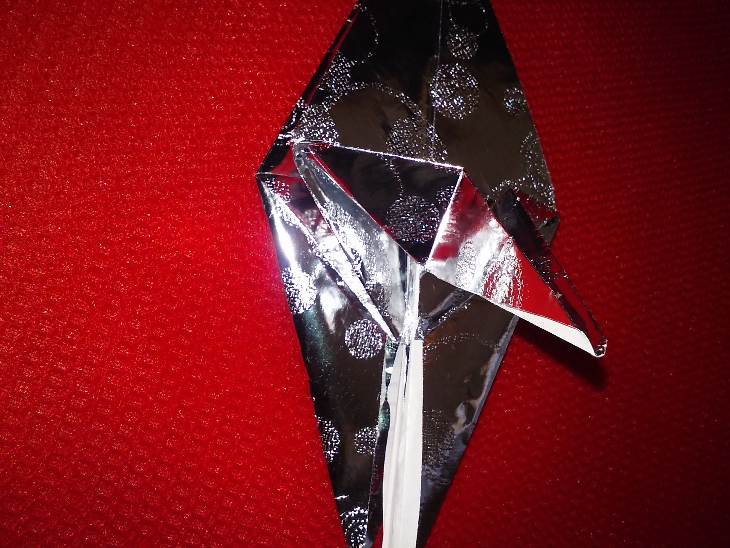 20160617_110516.jpg