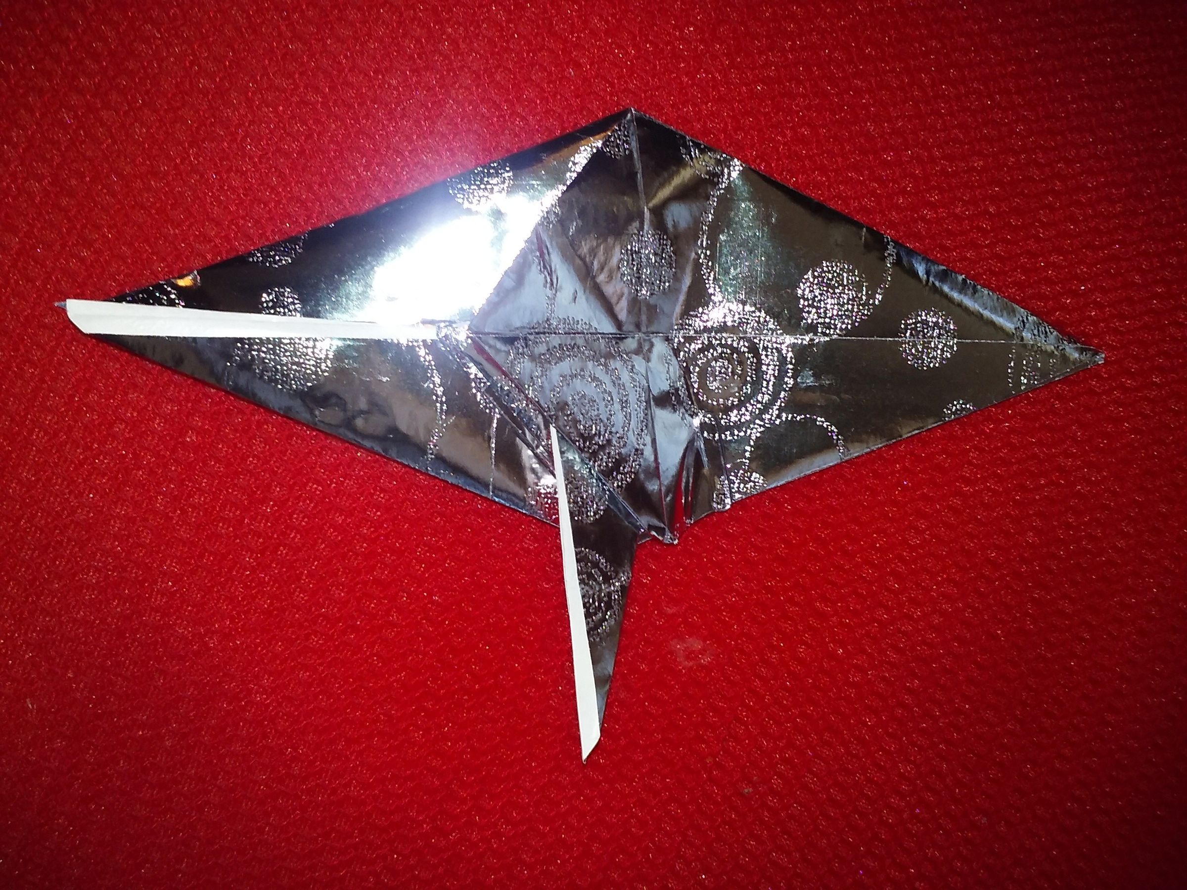 20160617_110557.jpg