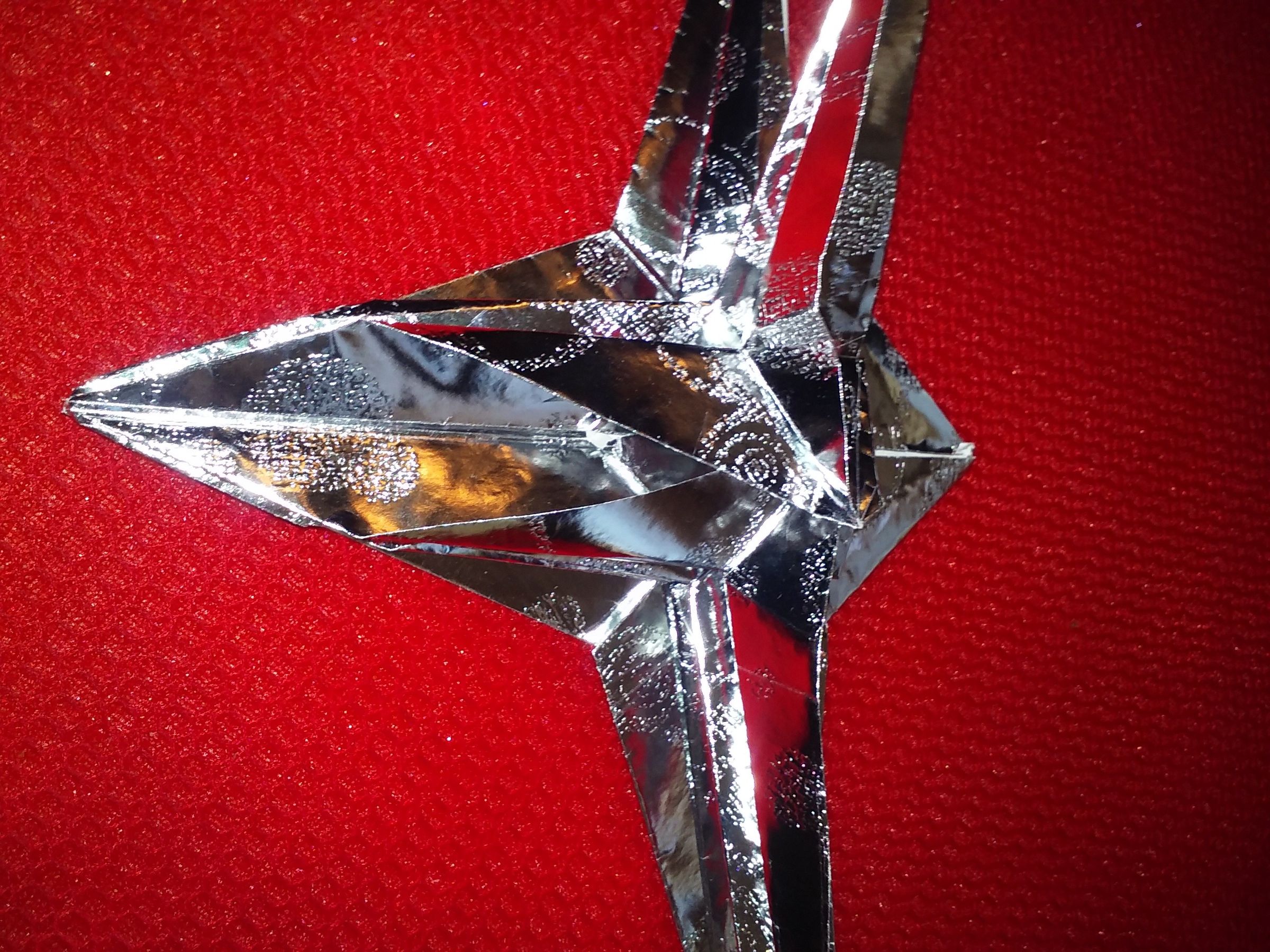20160617_113612.jpg