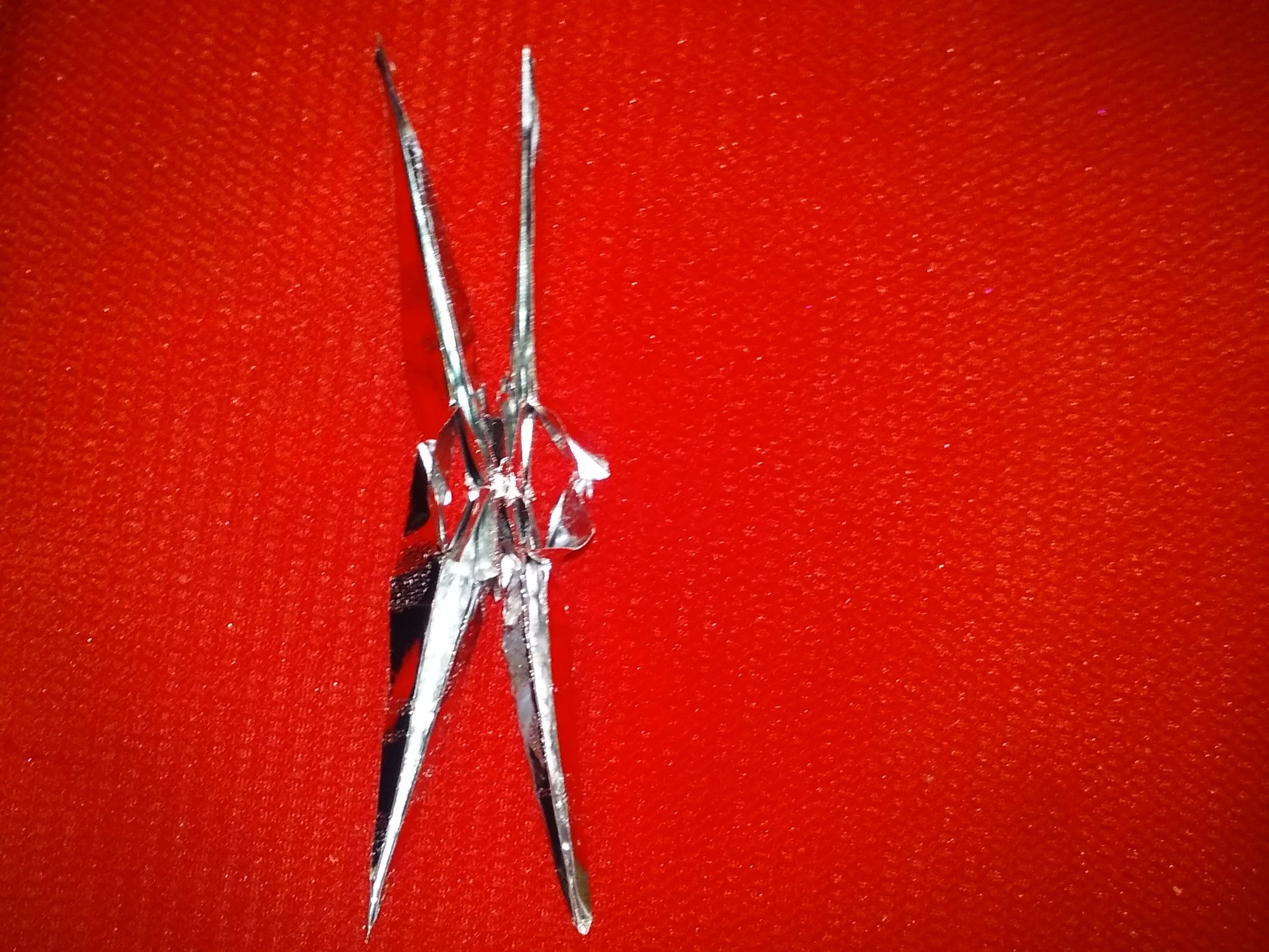 20160617_113905.jpg