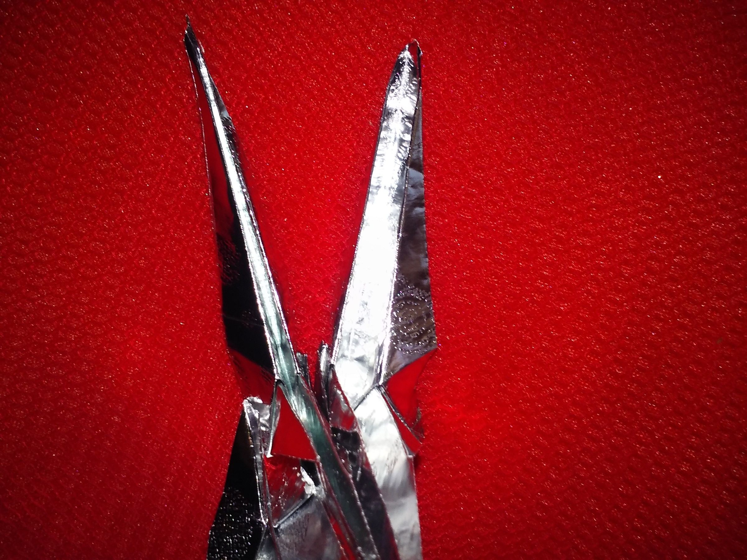 20160617_113919.jpg