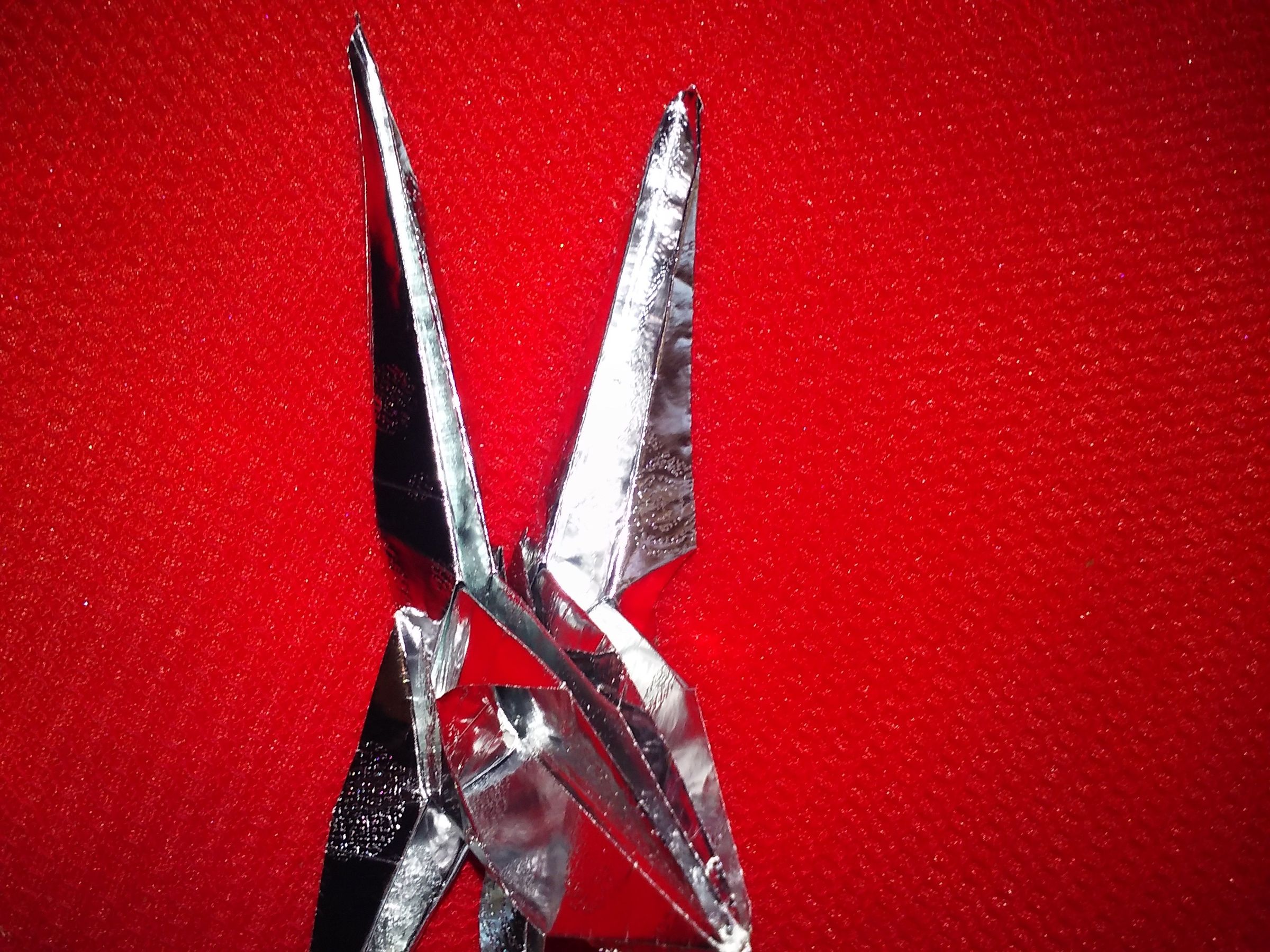 20160617_113923.jpg