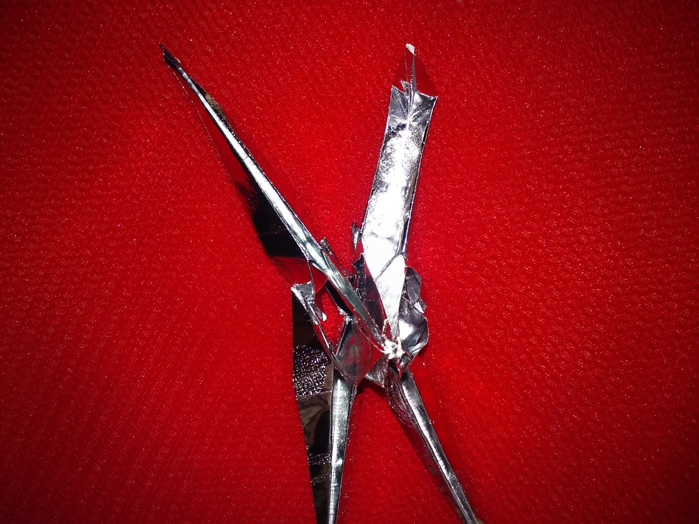 20160617_113953.jpg