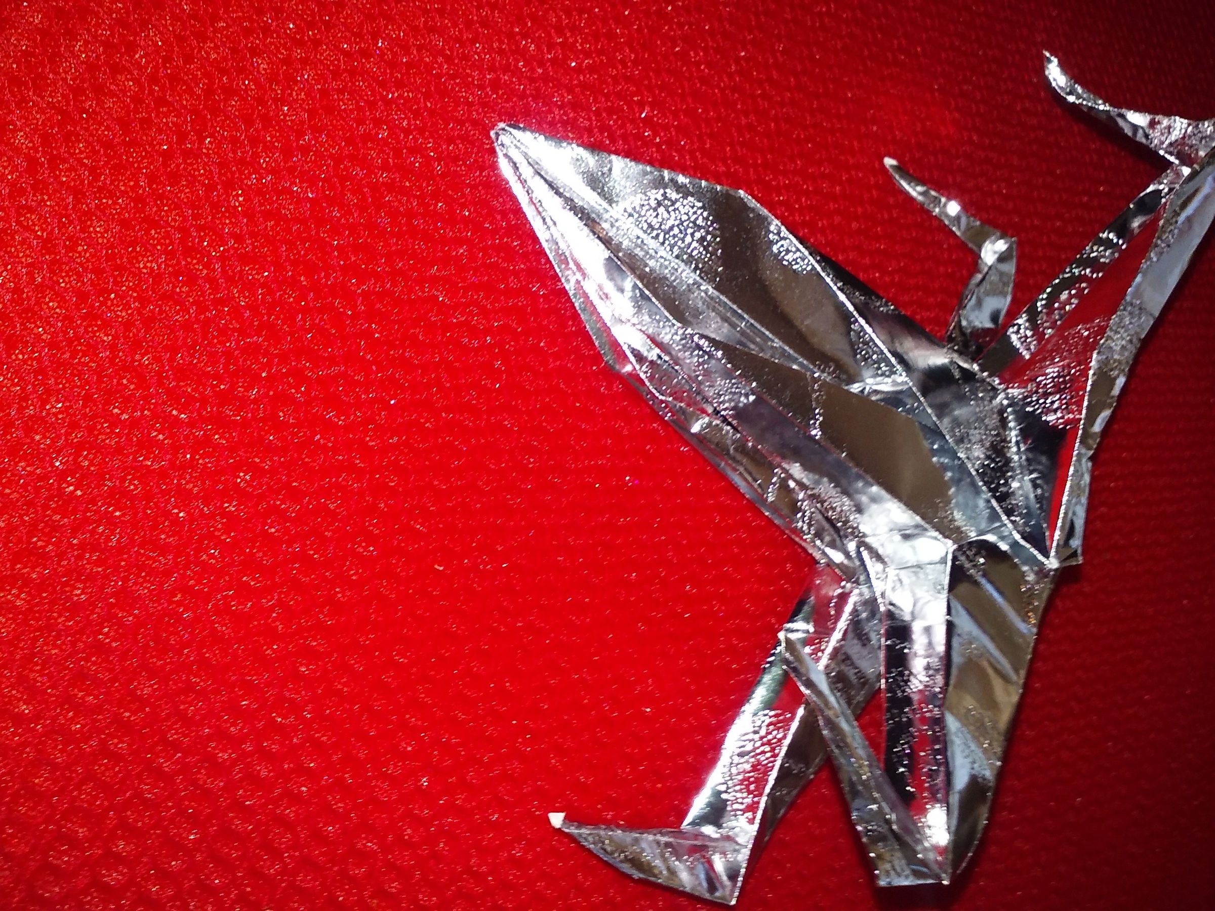 20160617_114130.jpg