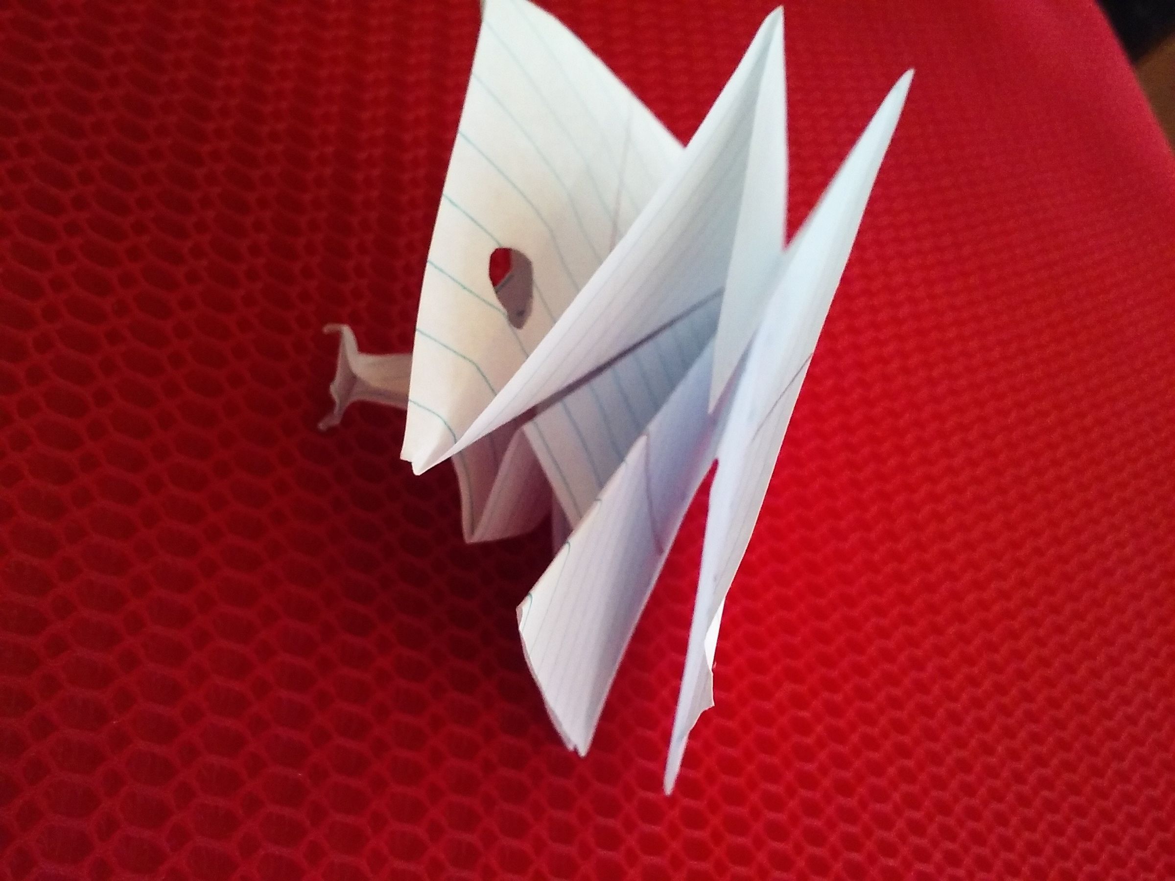 20160617_122118.jpg