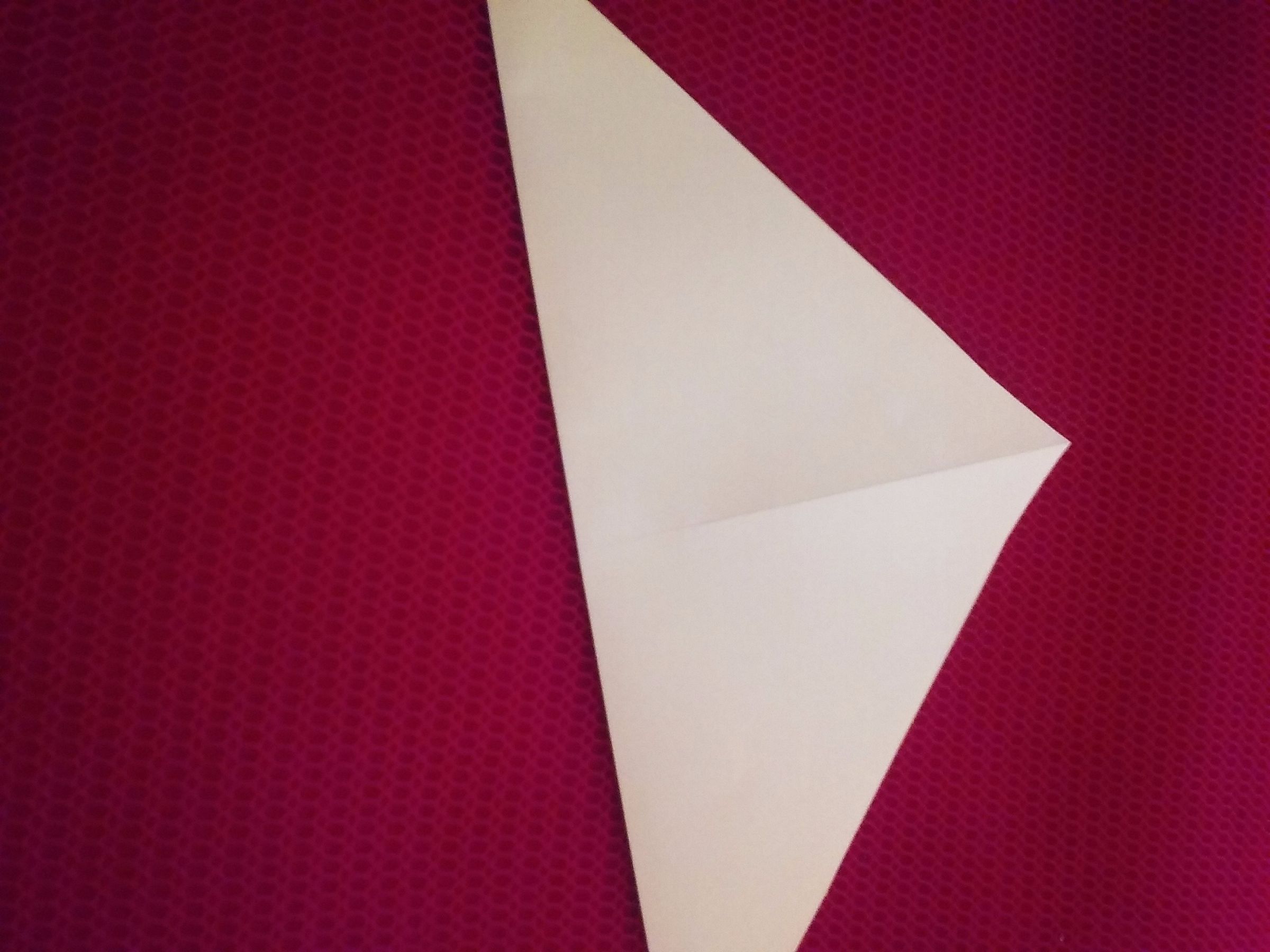 20160617_125051.jpg