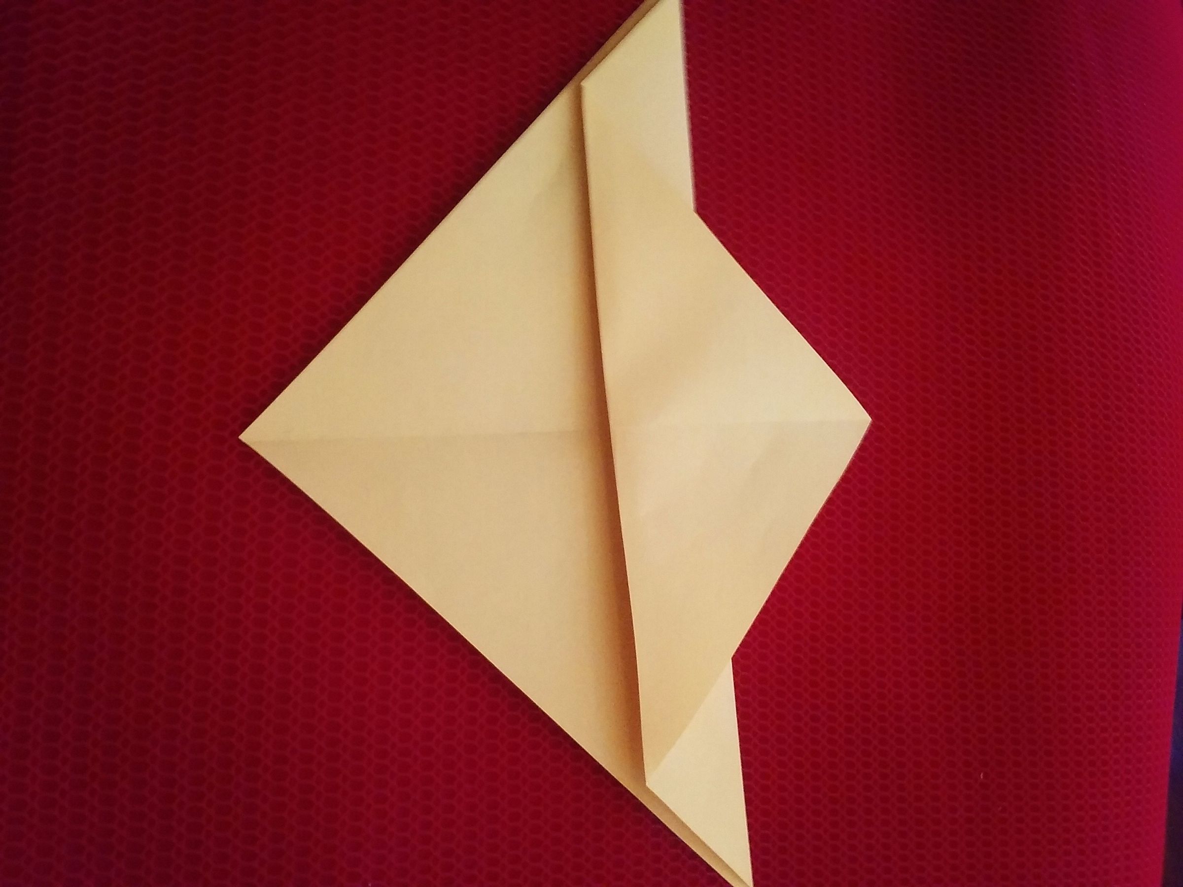 20160617_125403.jpg