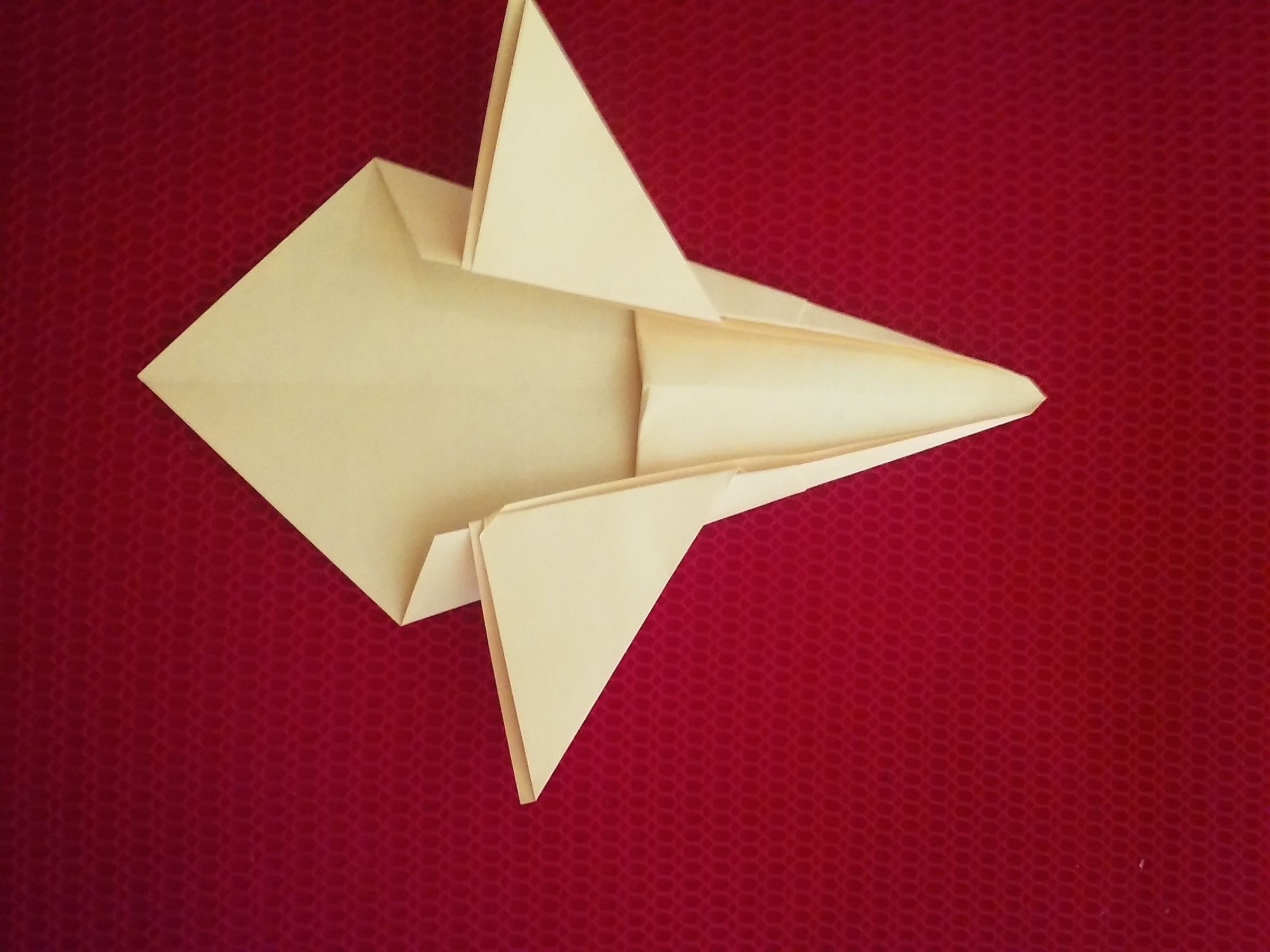 20160617_125900.jpg