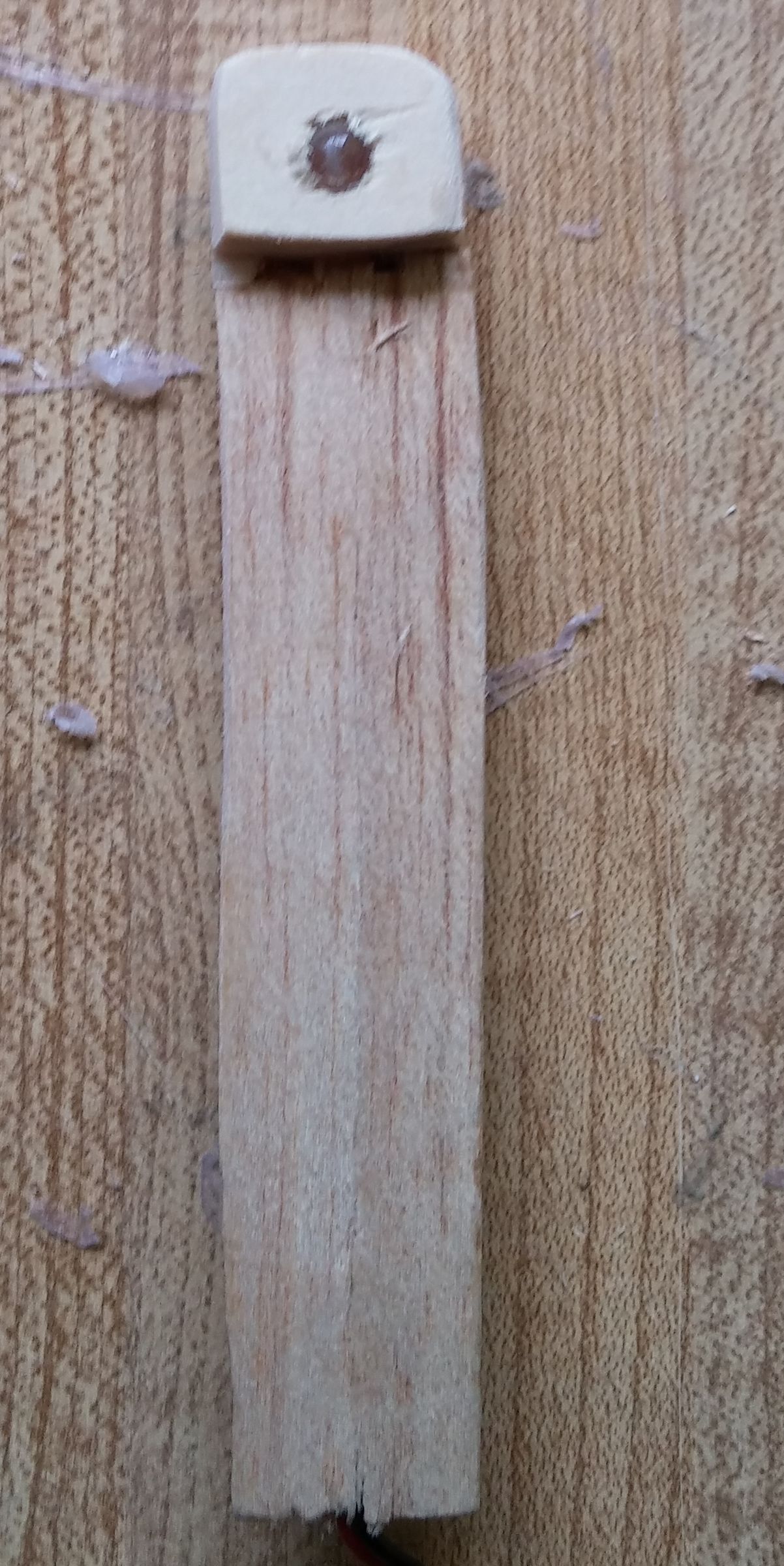 20170221_114156.jpg
