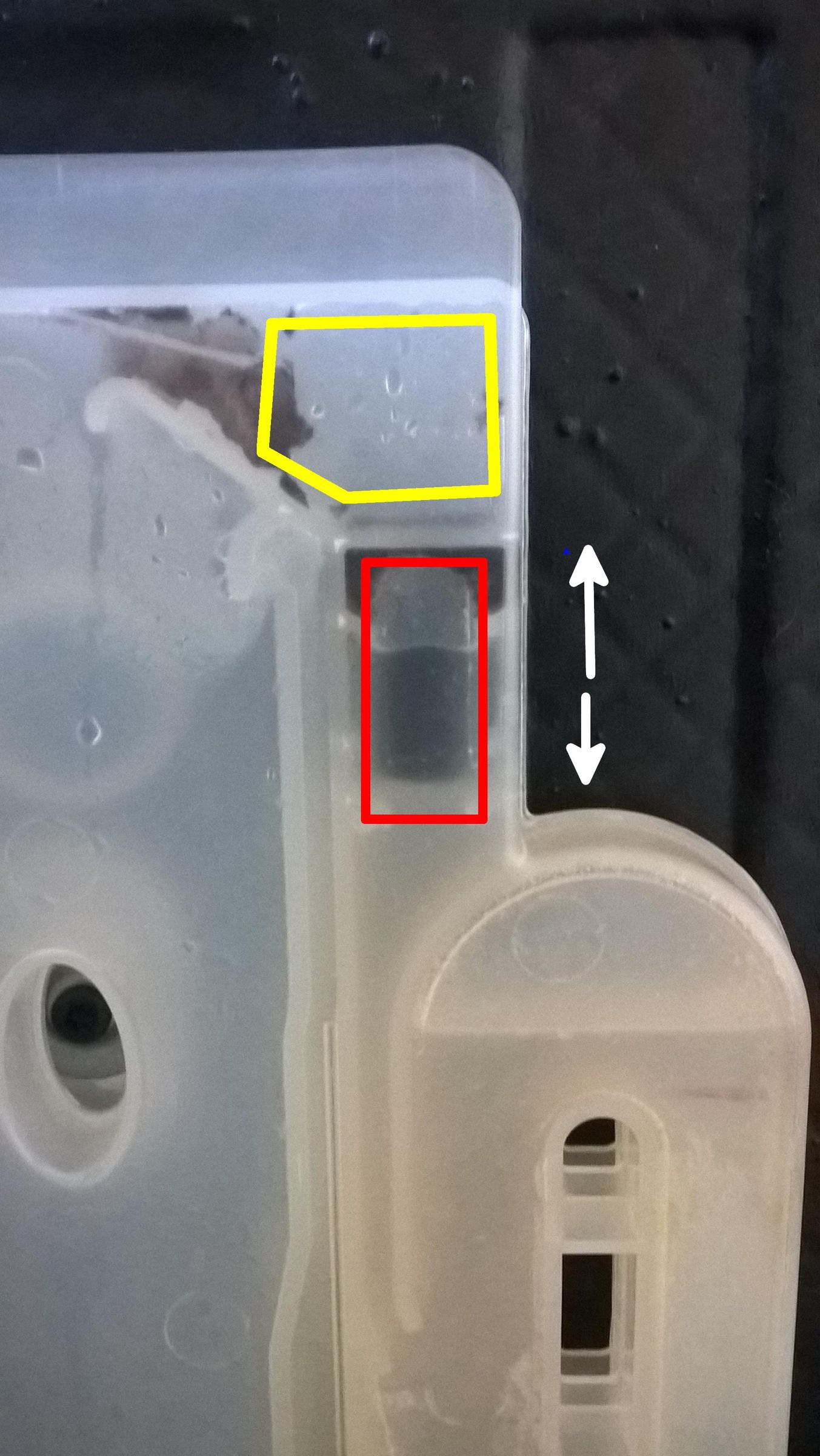 20170423_d2.jpg