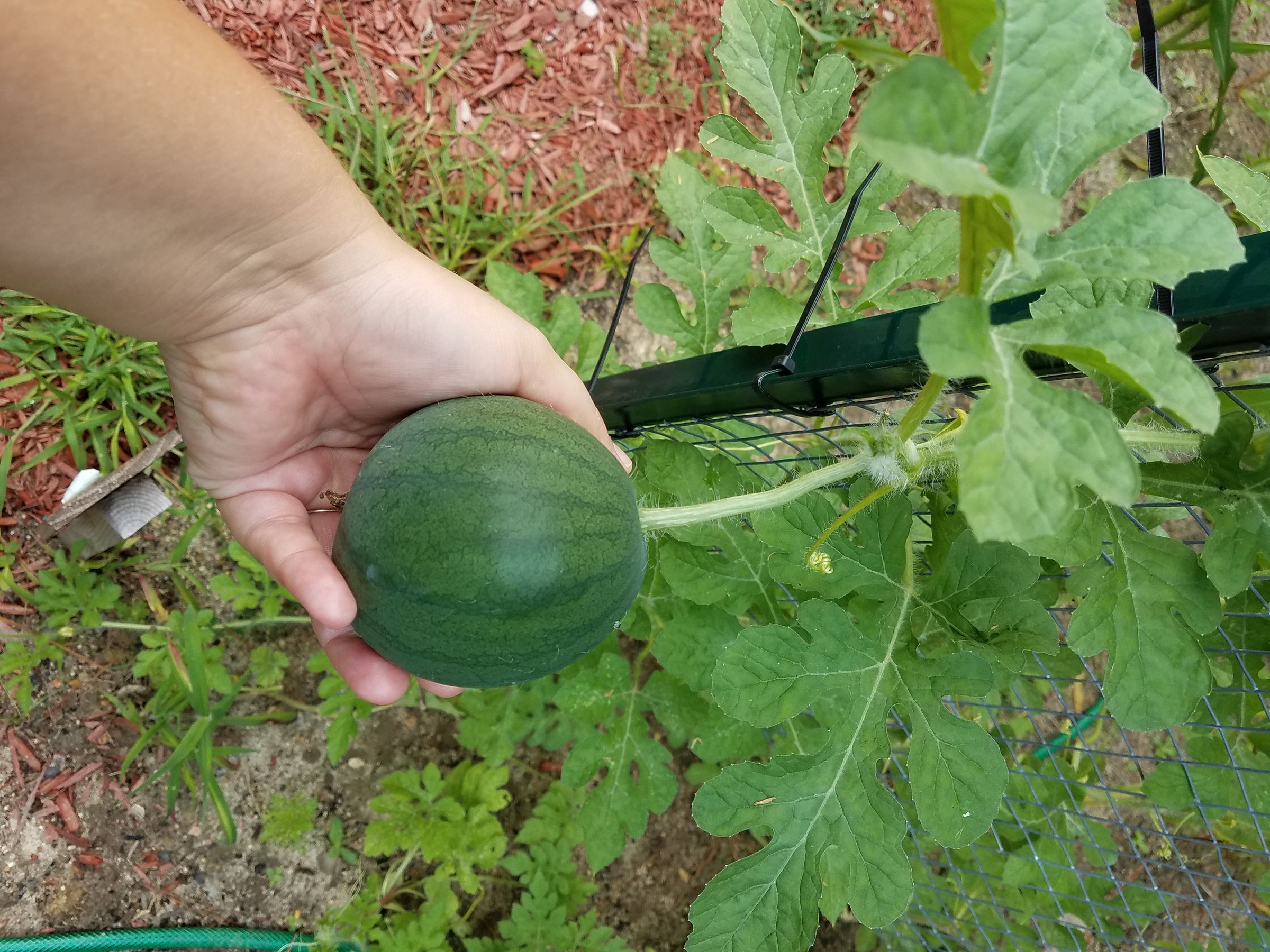 20170710_113405.jpg