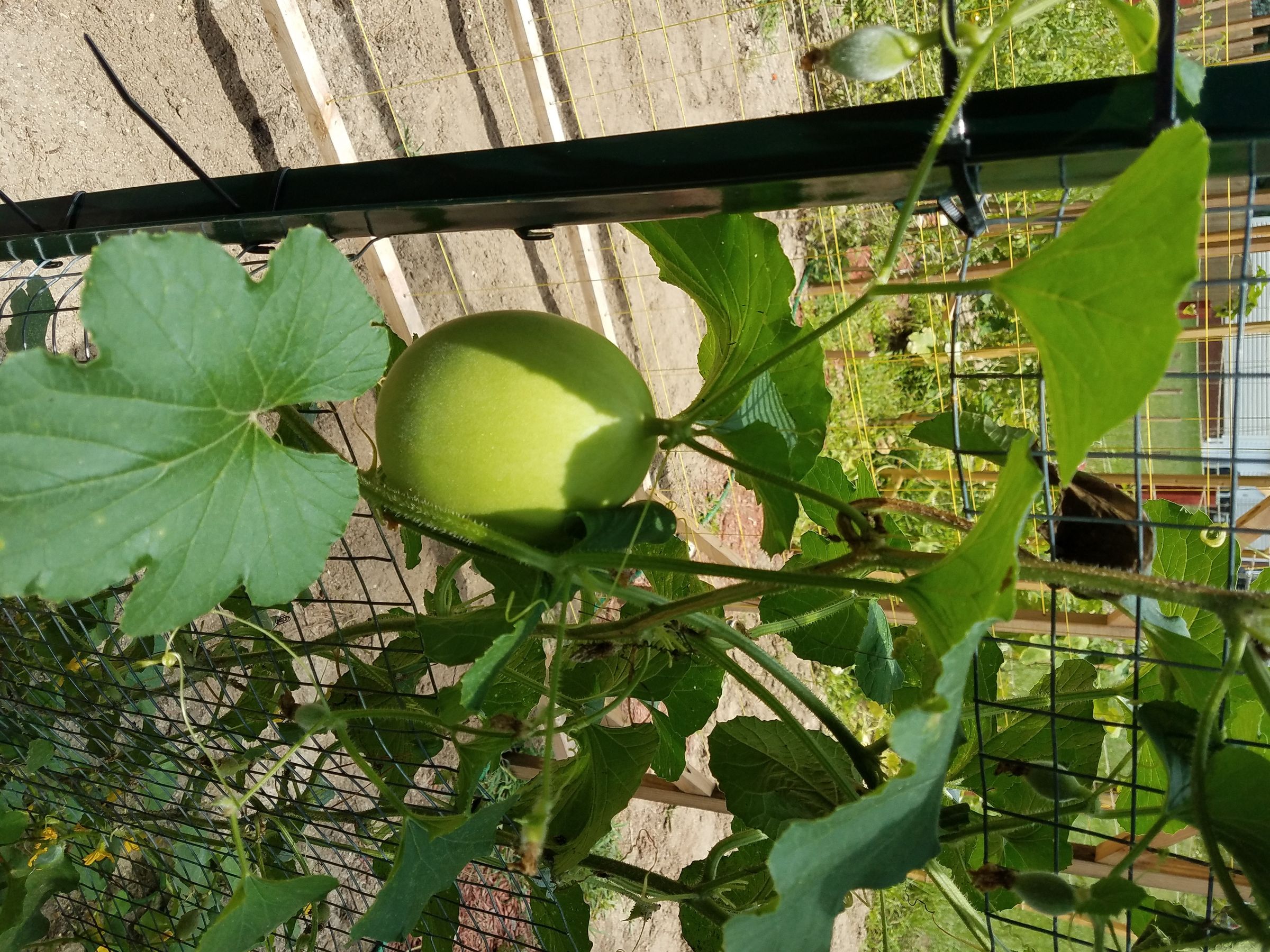 20170715_133443.jpg