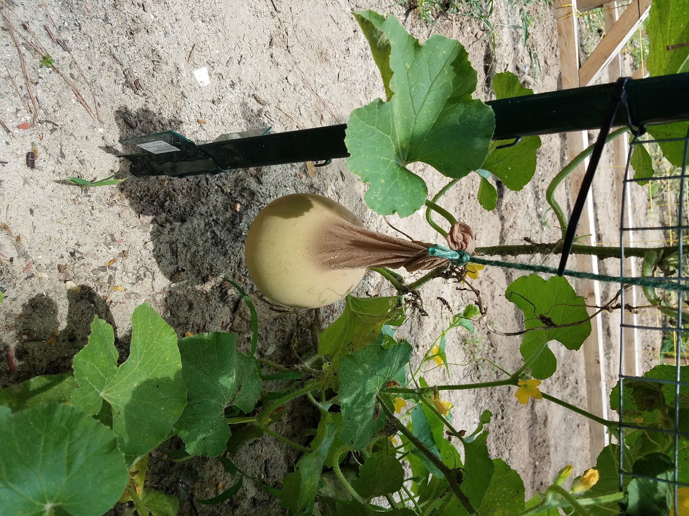 20170715_133449.jpg