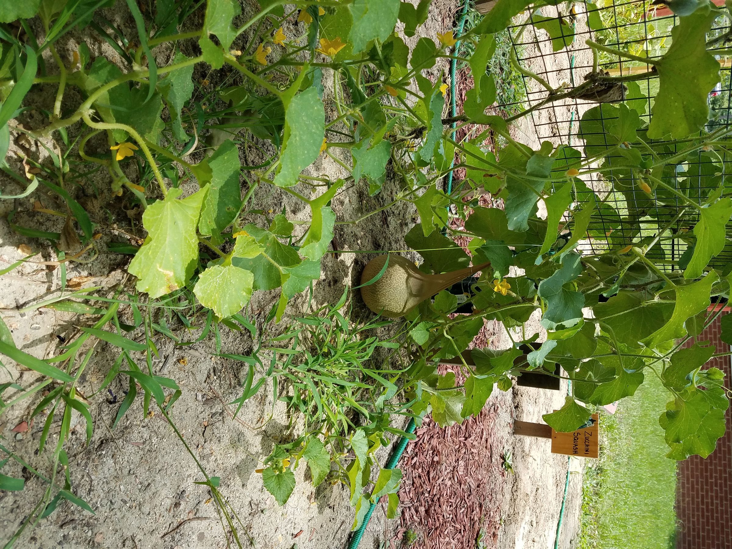 20170715_133452.jpg