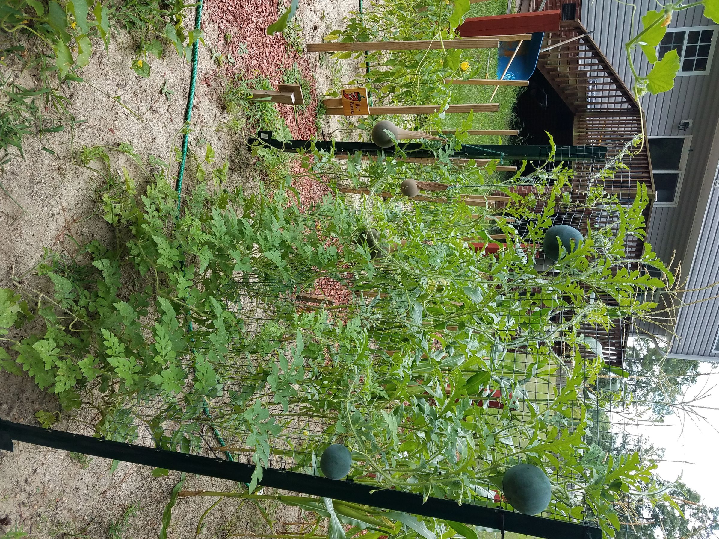 20170715_133502.jpg