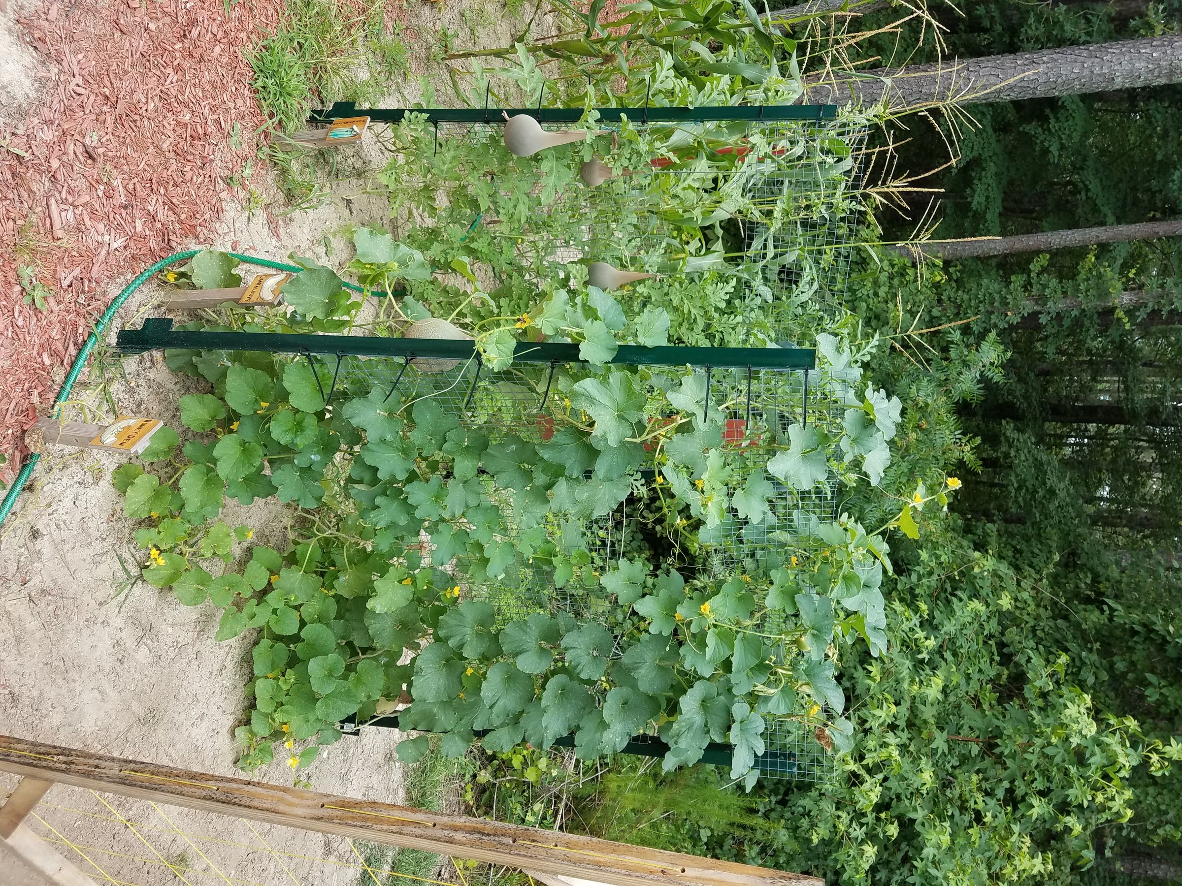20170715_133529.jpg