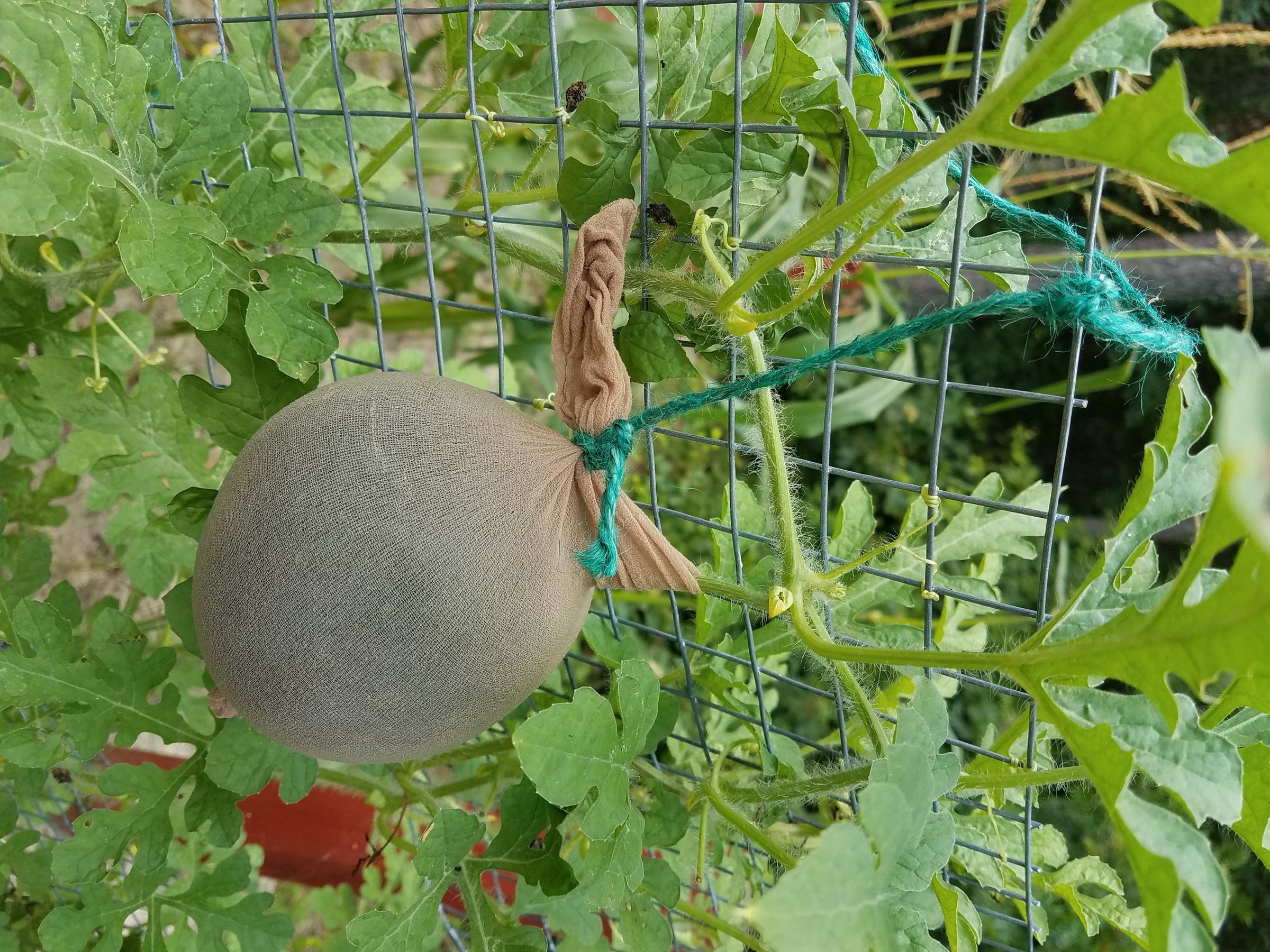 20170715_133804.jpg