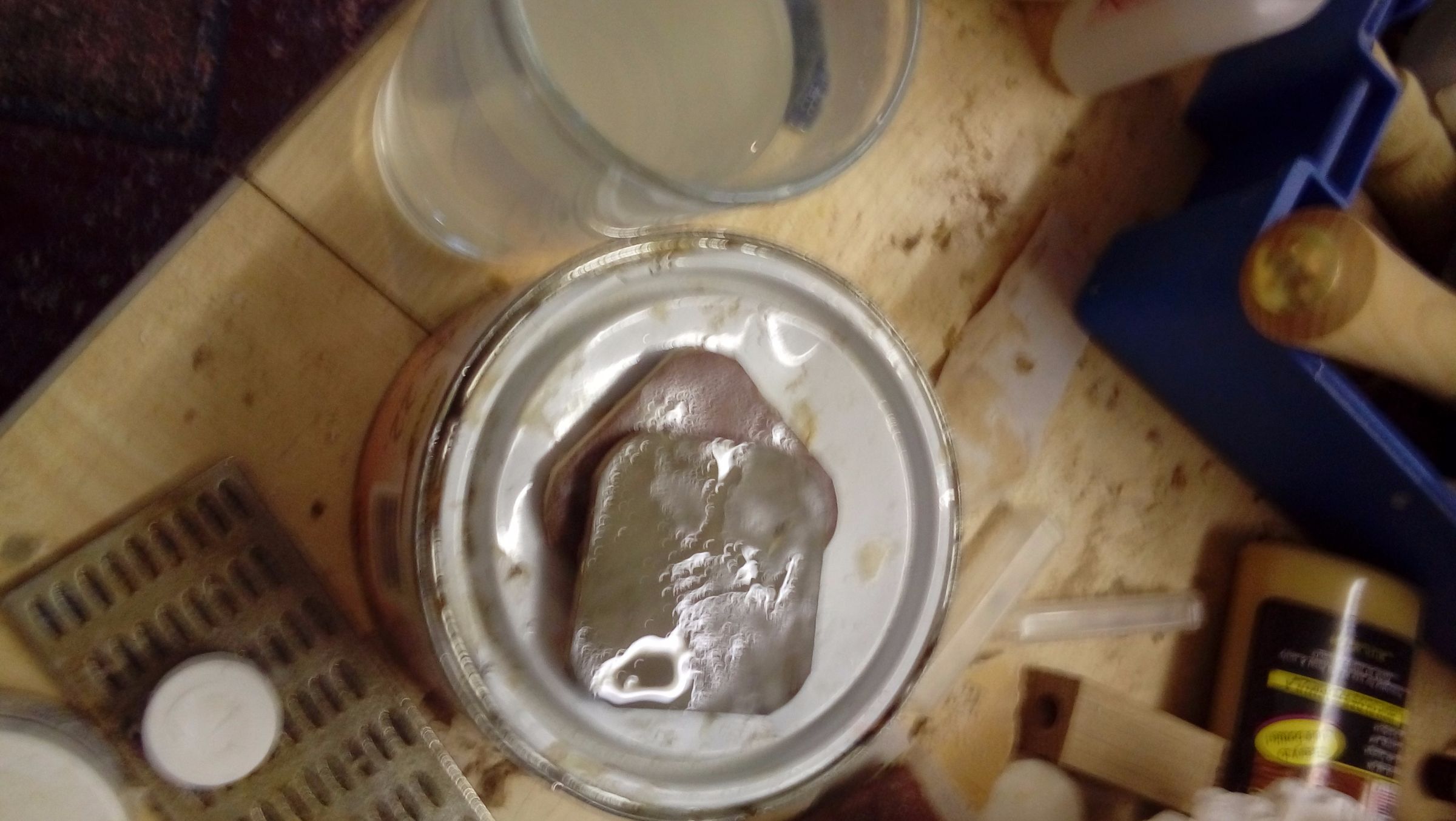 20170727_192647.jpg