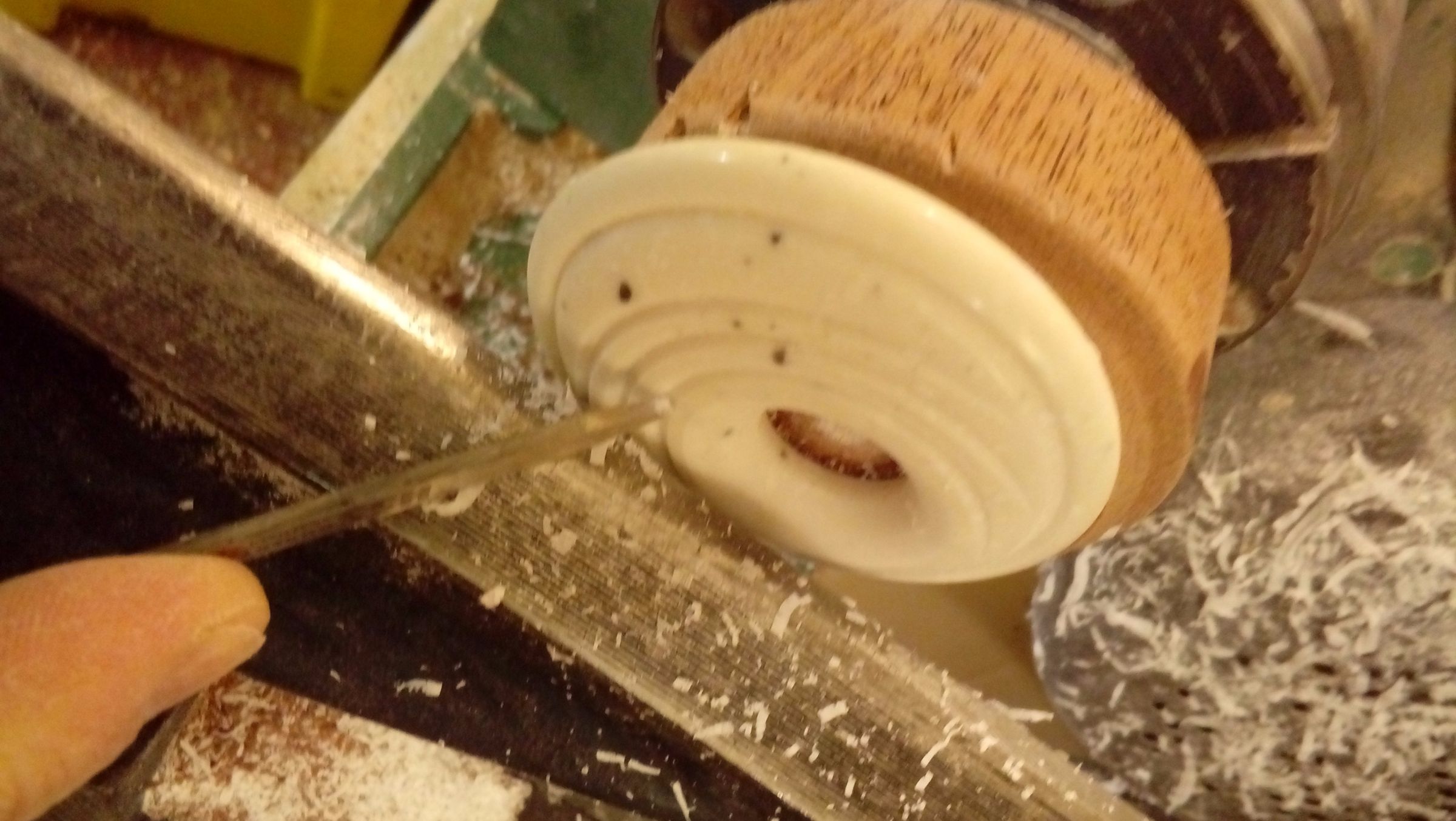20170728_201216.jpg